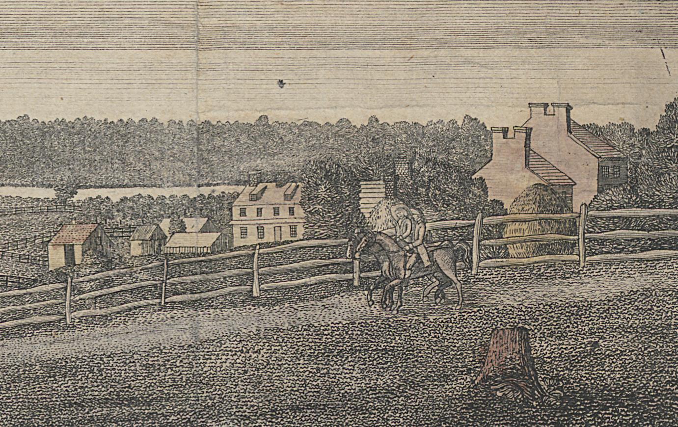 1994.0088 Print, Detail 5