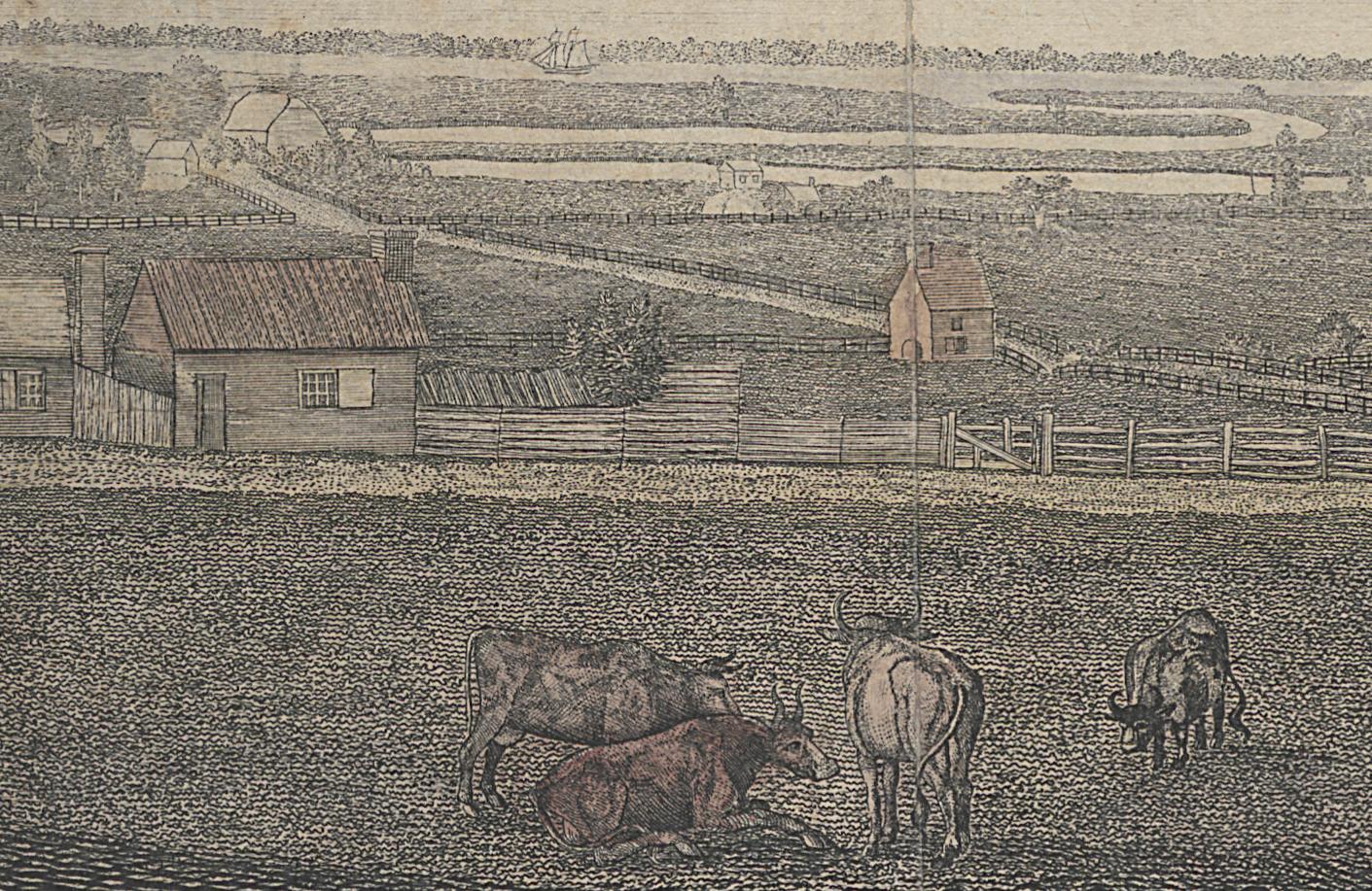 1994.0088 Print, Detail 6