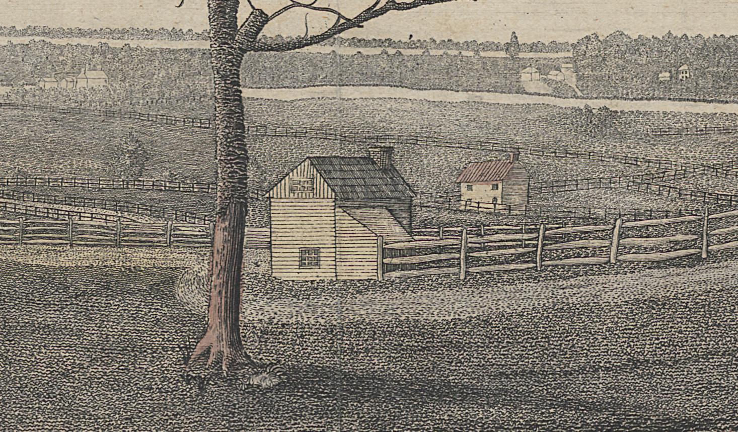 1994.0088 Print, Detail 7