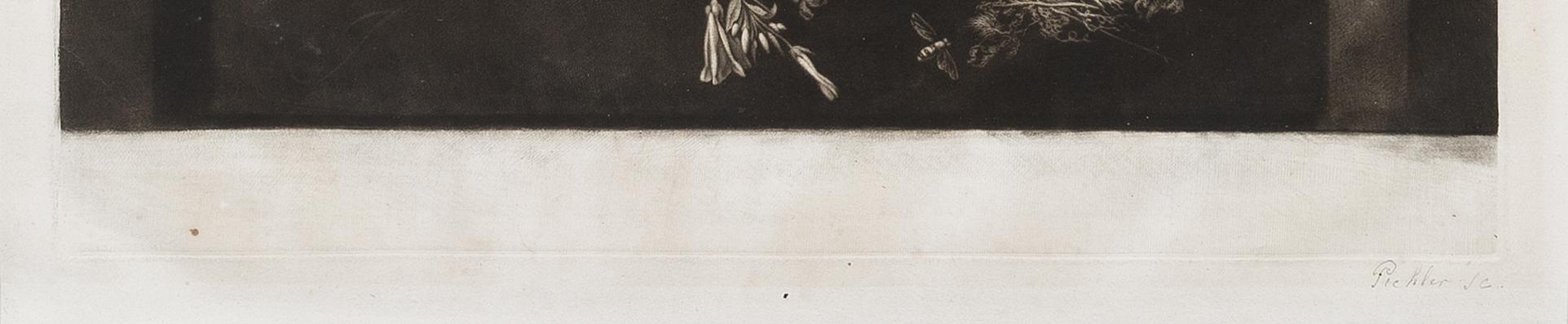 1994.0110.001 Print, detail 1
