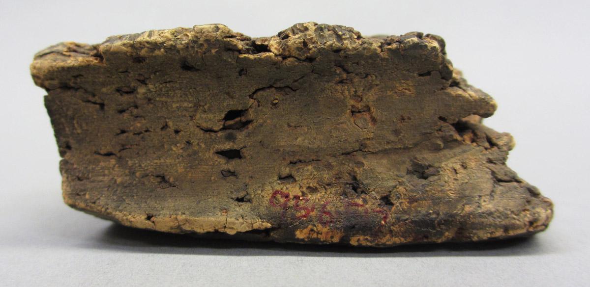 1995.0006.517 Cork, side 1