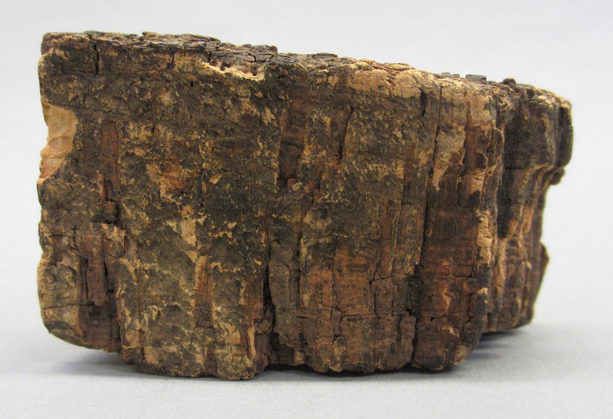 1995.0006.517 Cork, side 2