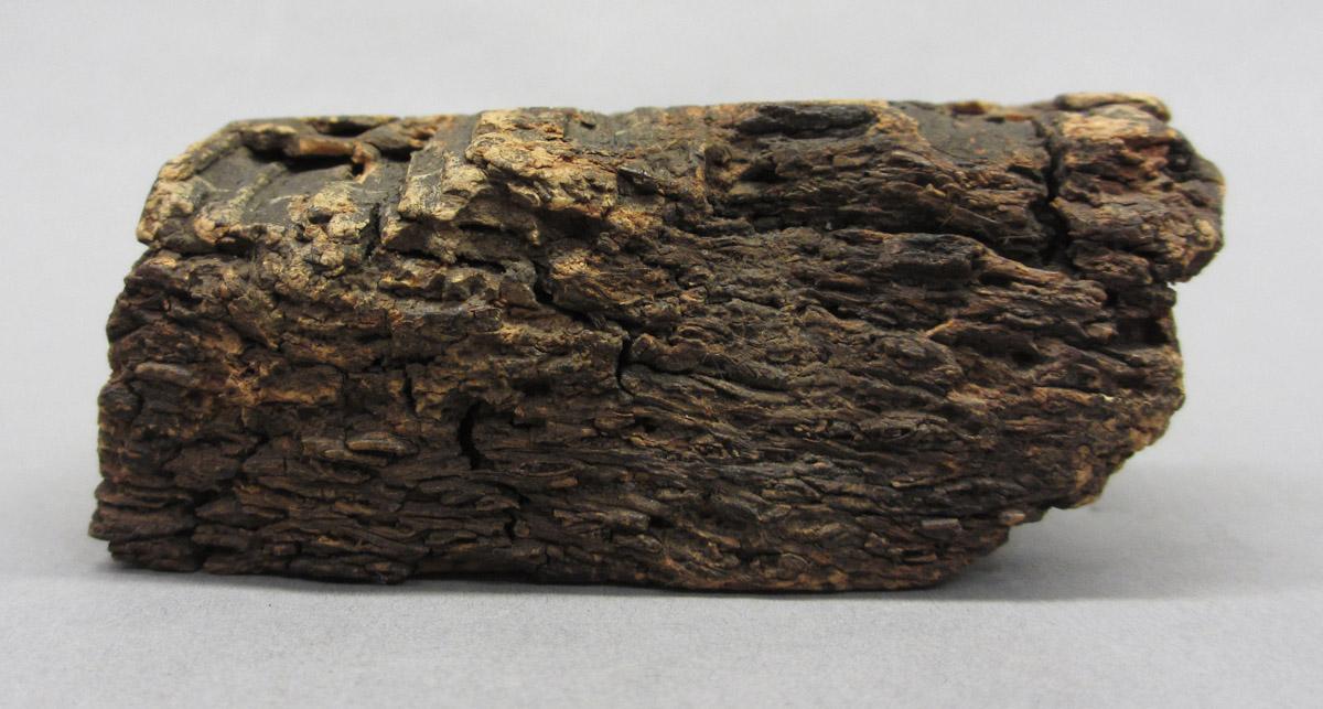 1995.0006.517 Cork, side 3