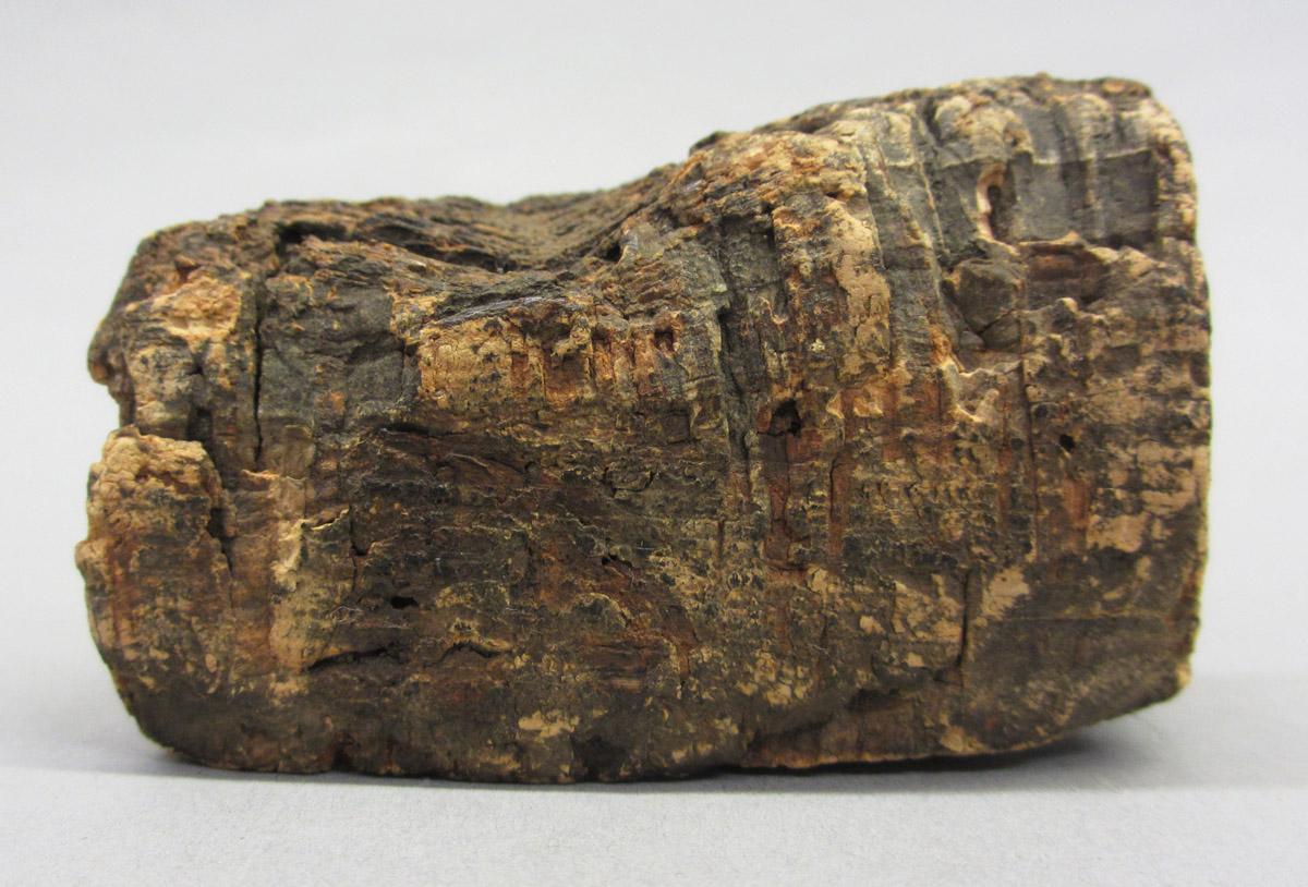 1995.0006.517 Cork, side 4