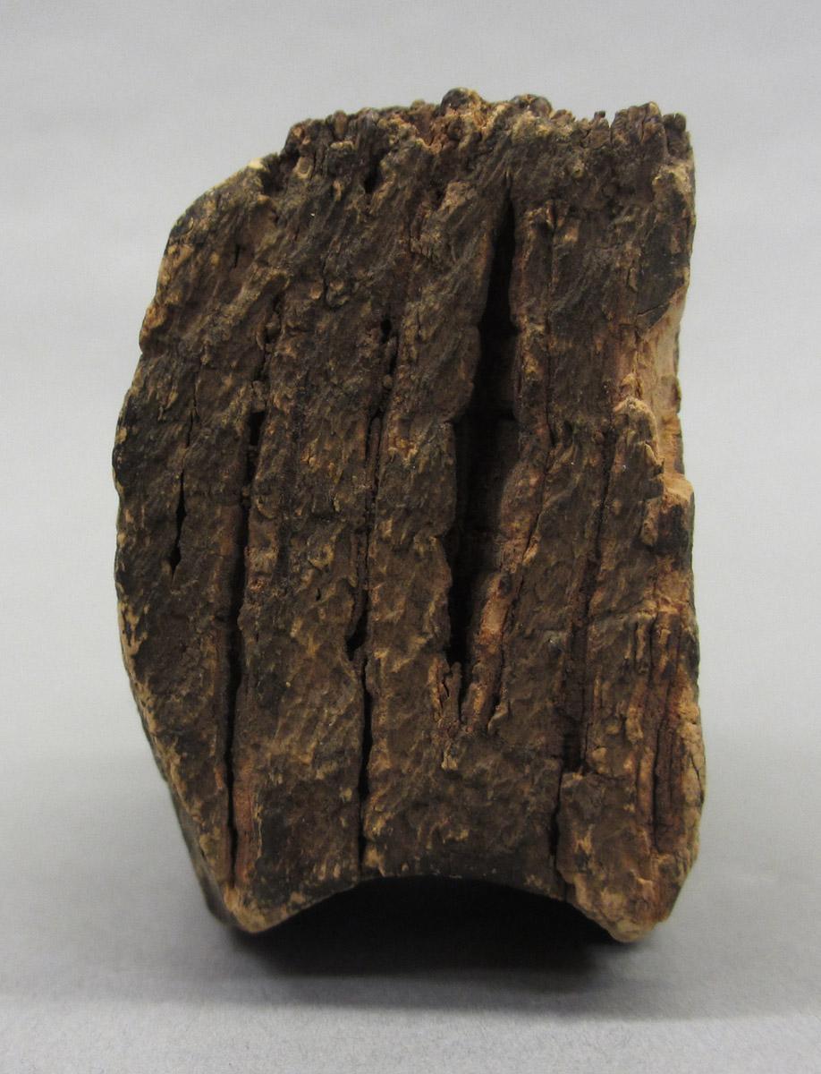 1995.0006.517 Cork, side 5