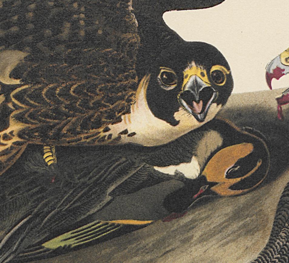 1995.0053.002 Print, Detail 4