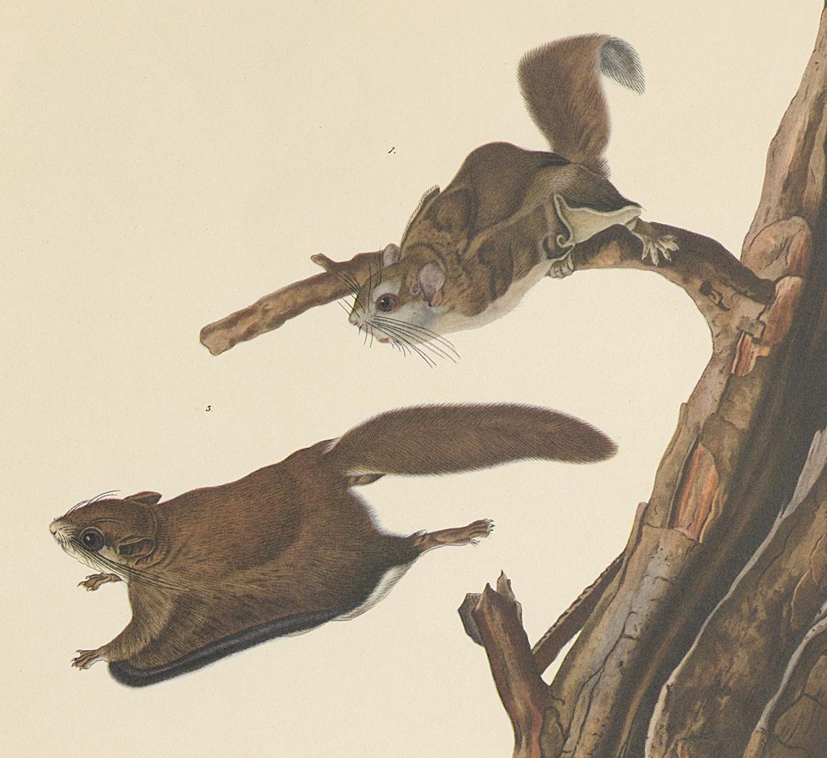 1995.0053.003 Print, Detail 2