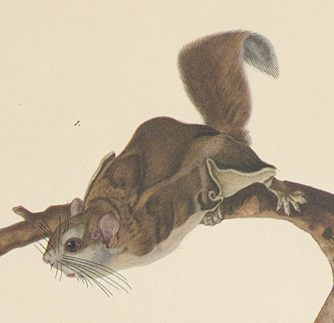1995.0053.003 Print, Detail 4