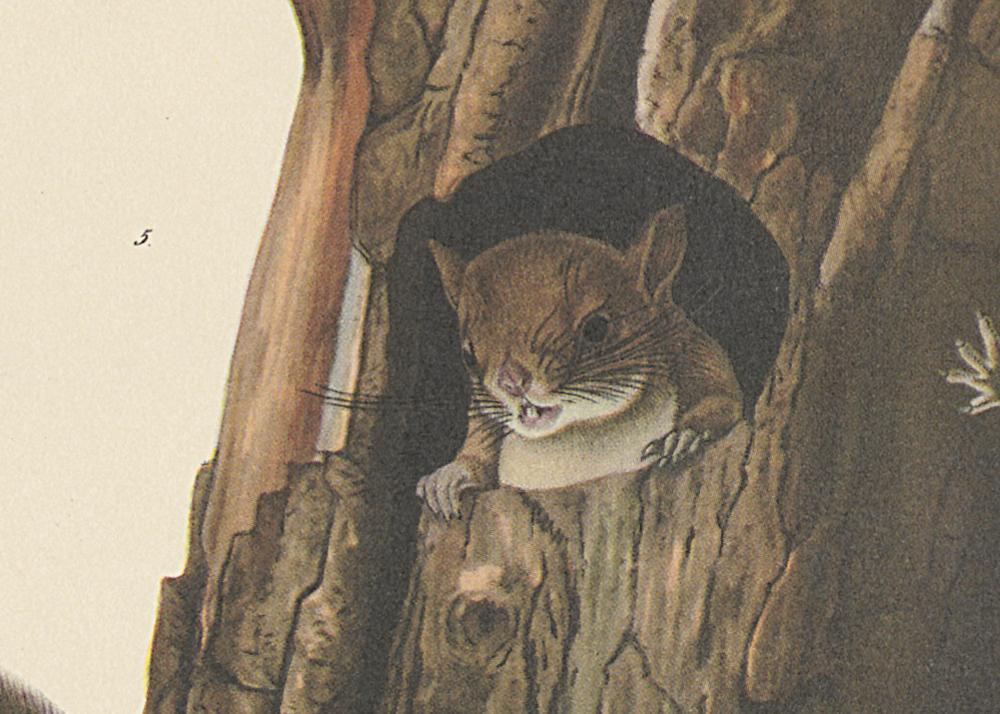 1995.0053.003 Print, Detail 7