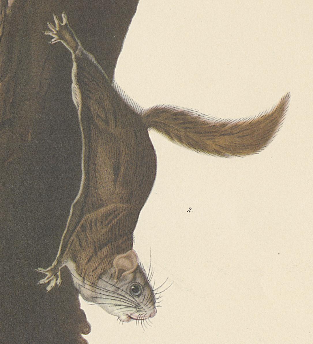 1995.0053.003 Print, Detail 8