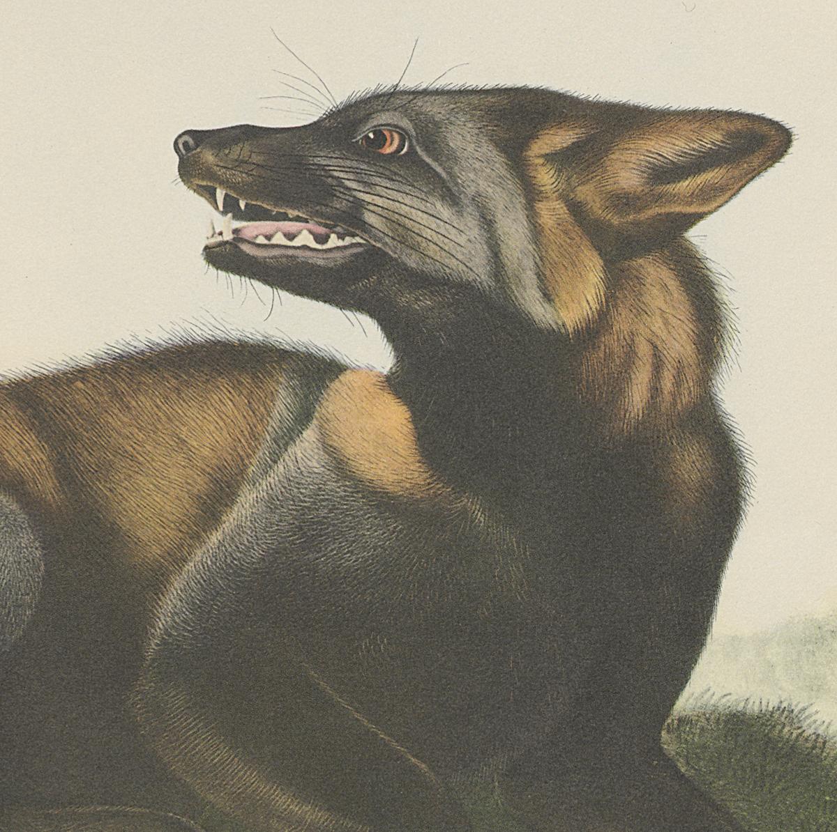 1995.0053.005 Print, Detail 2
