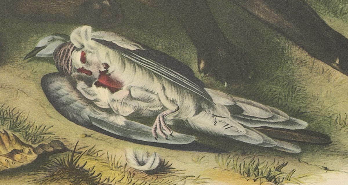 1995.0053.005 Print, Detail 3