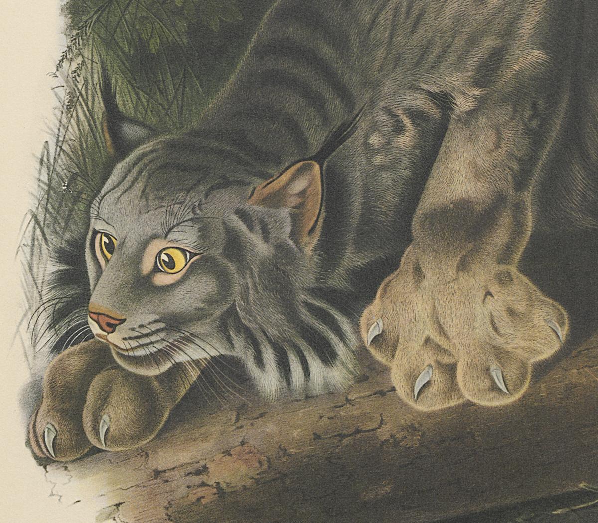1995.0053.006 Print, Detail 2