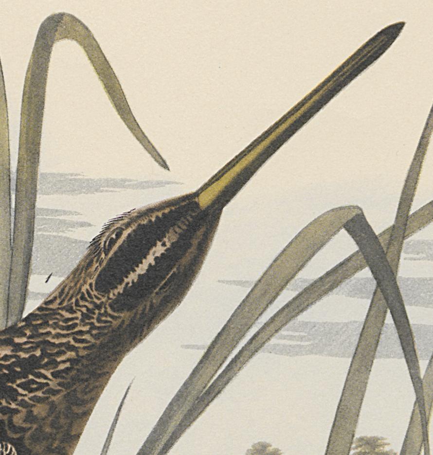 1995.0053.007 Print, Detail 4