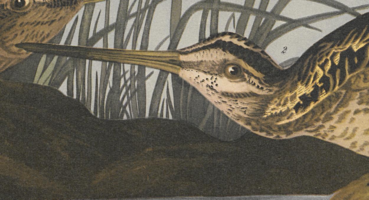 1995.0053.007 Print, Detail 6