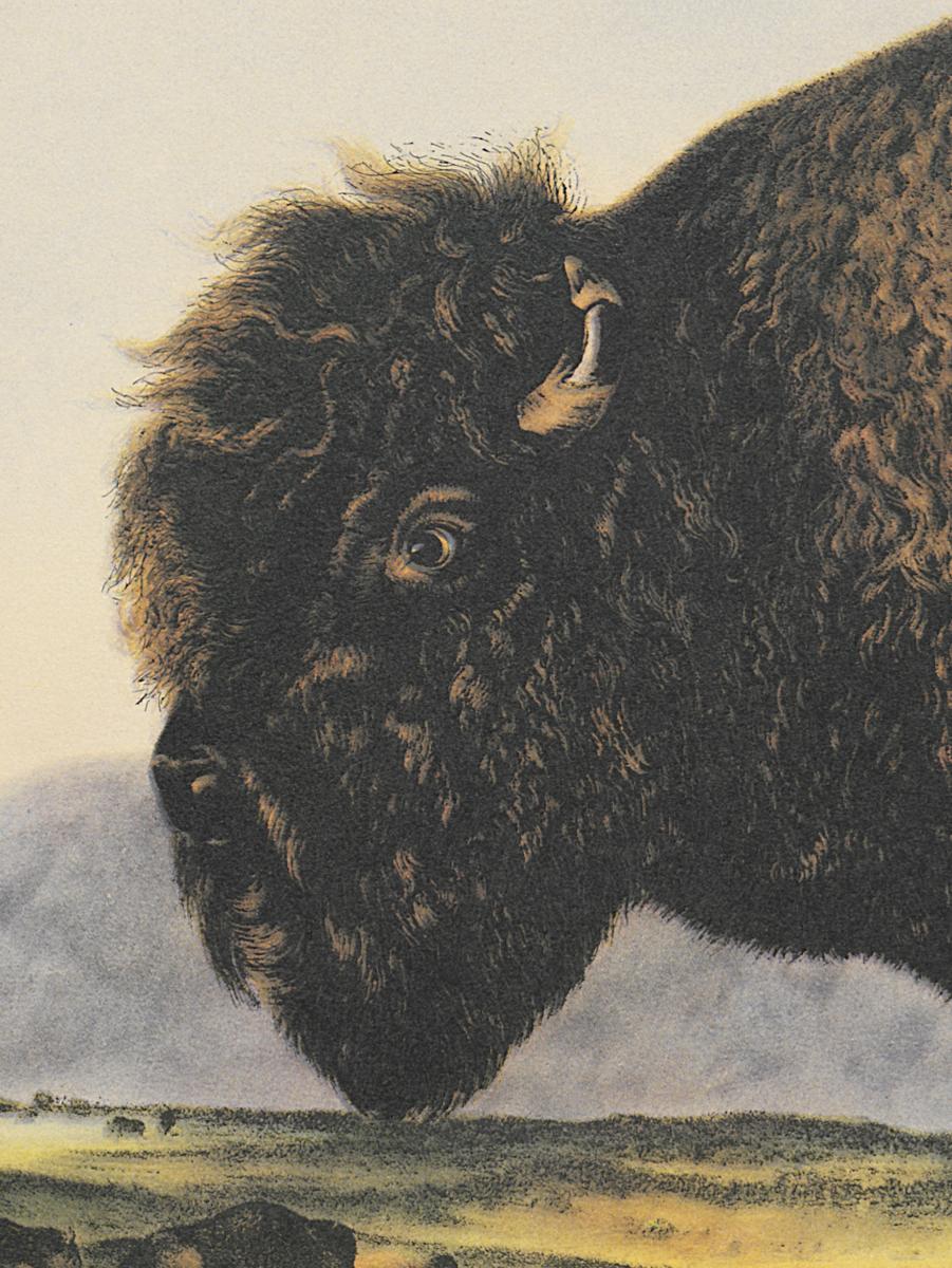 1995.0053.008 Print, Detail 3