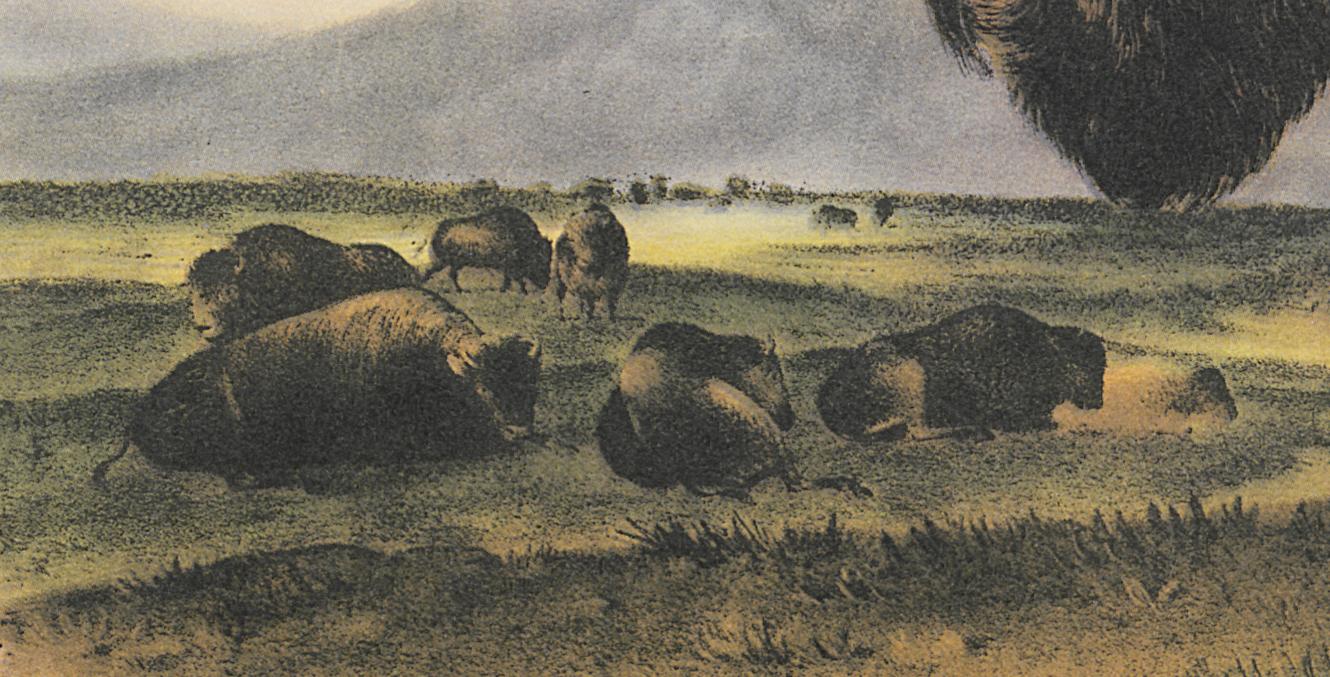 1995.0053.008 Print, Detail 4