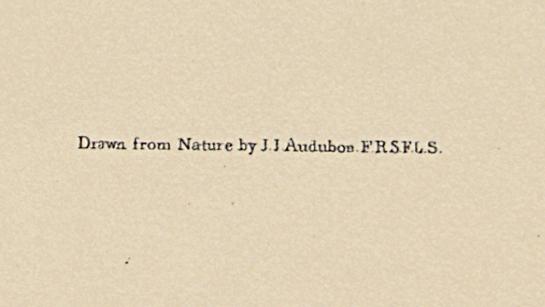 1995.0053.008 Print, Detail 6