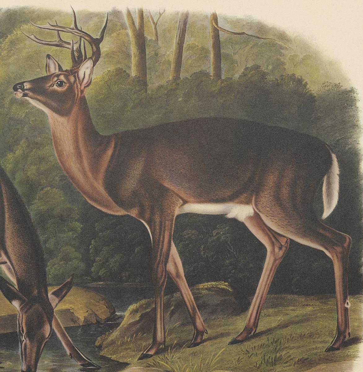 1995.0053.009 Print, Detail 2