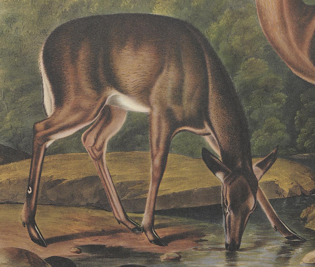 1995.0053.009 Print, Detail 3