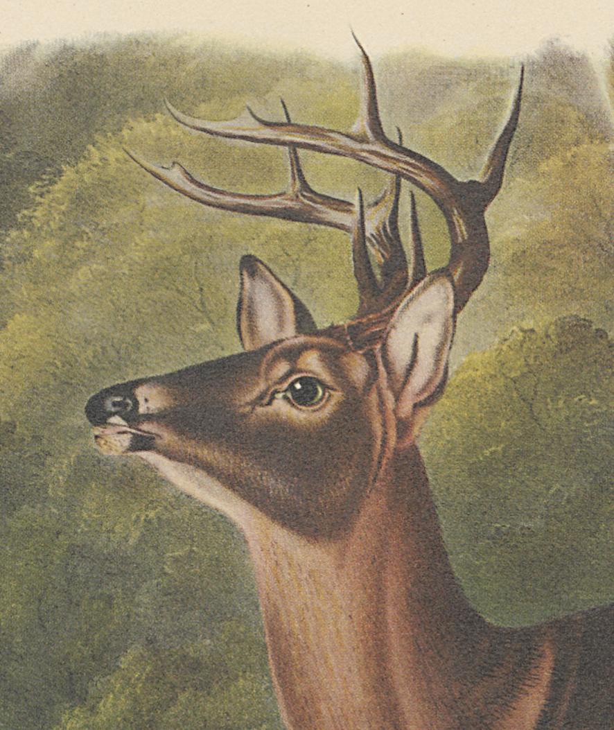 1995.0053.009 Print, Detail 4