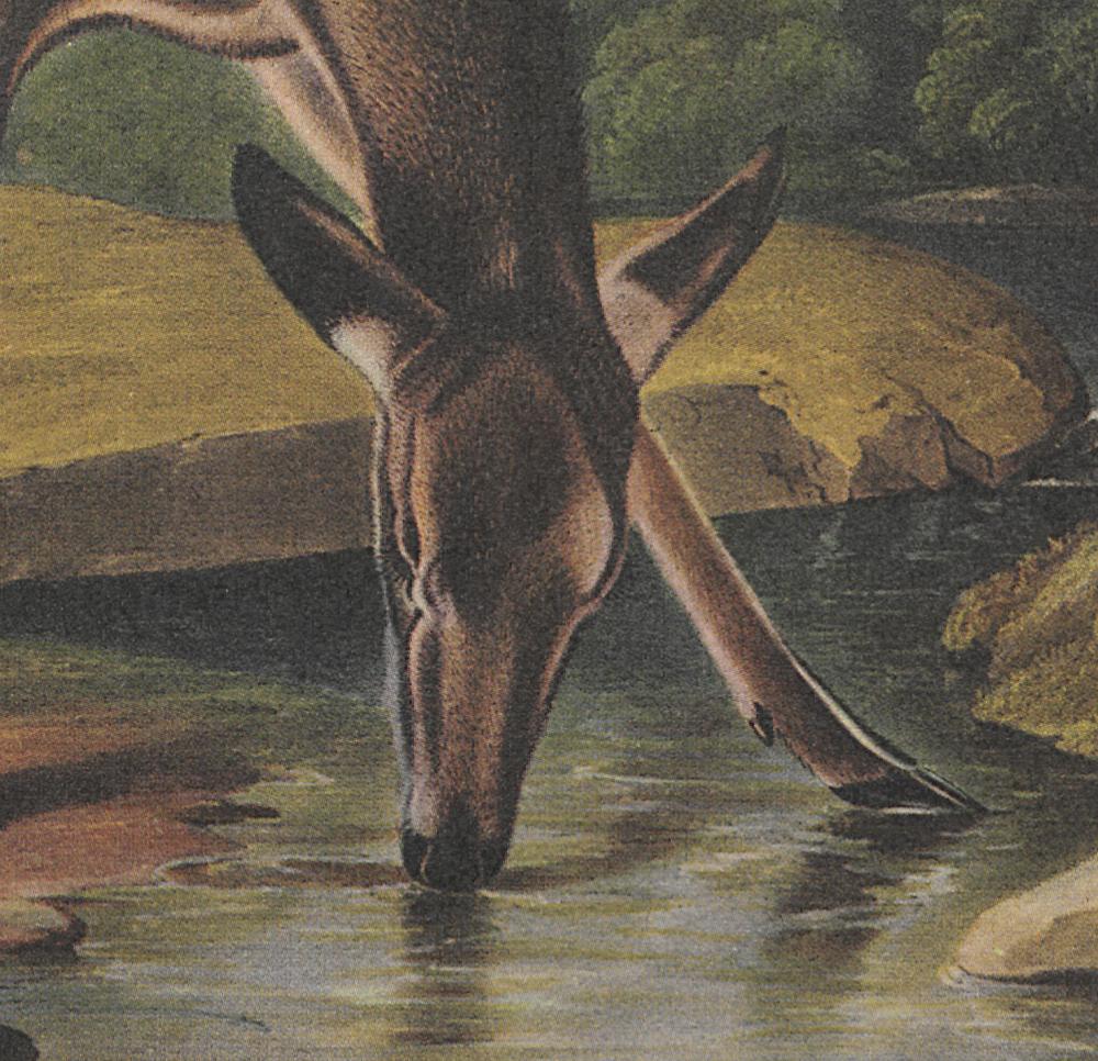 1995.0053.009 Print, Detail 5