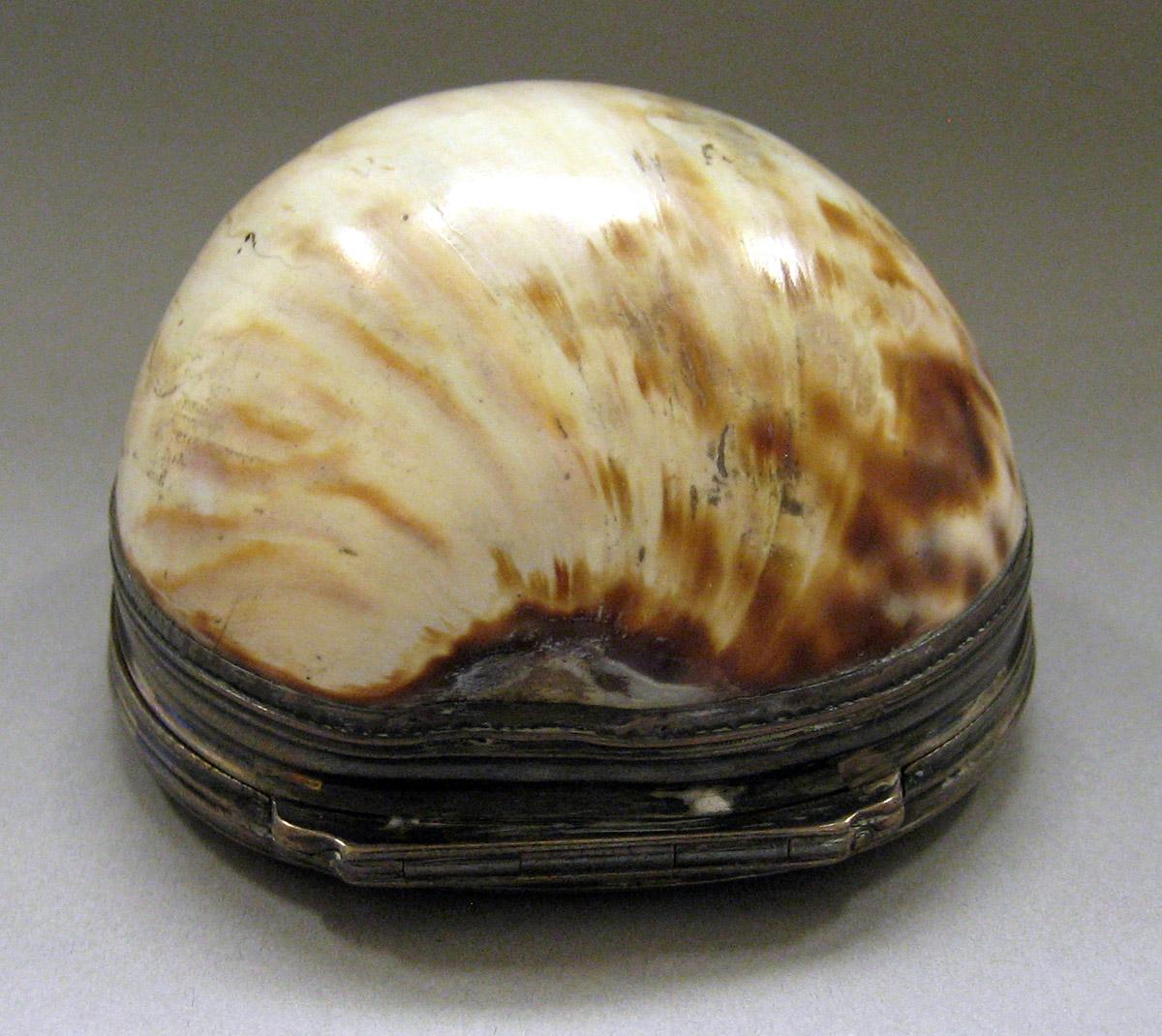 1996.0002 Silver and Shell Snuff Box back