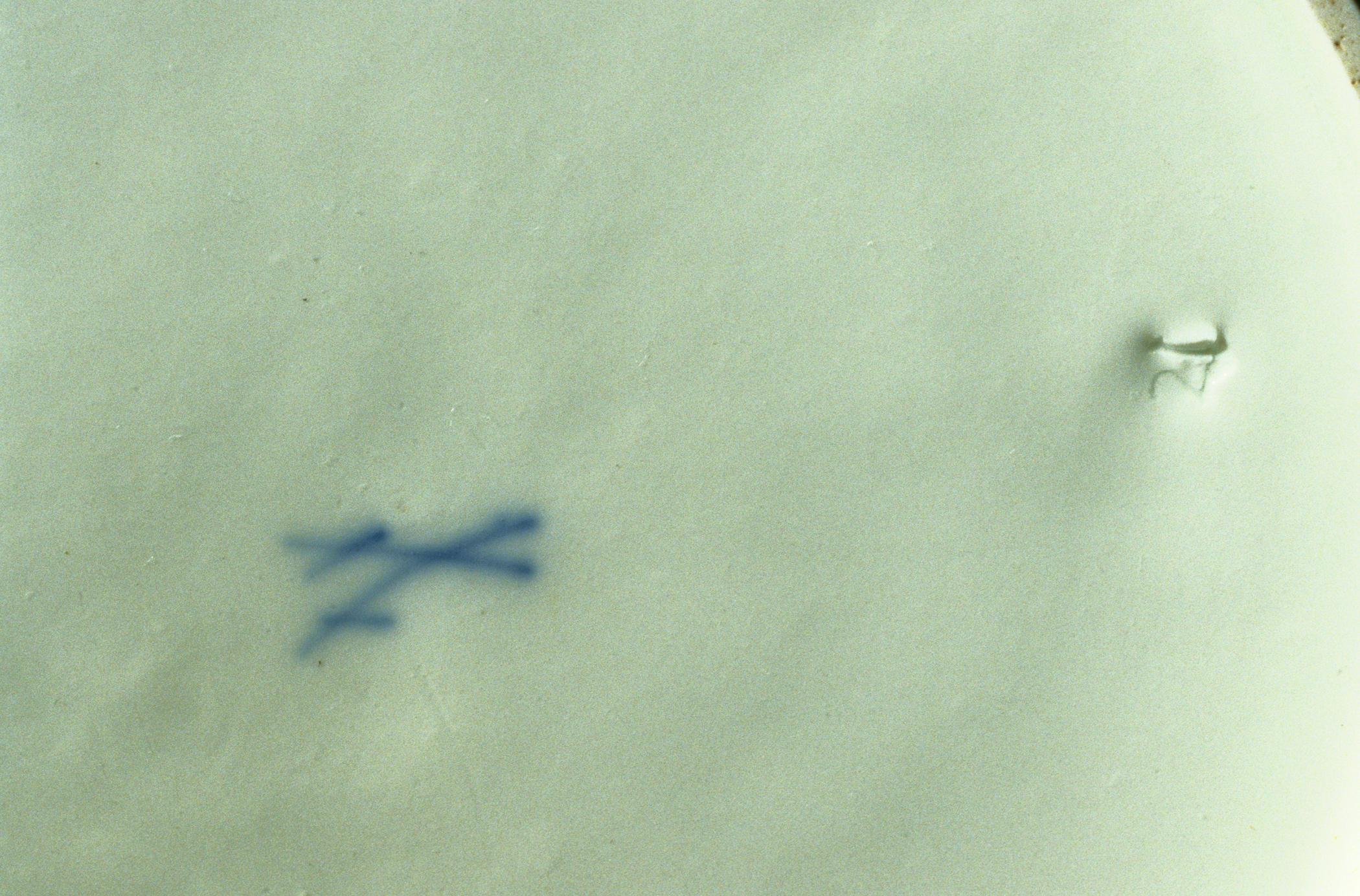 1996.0004.081.001 Soup plate (detail)