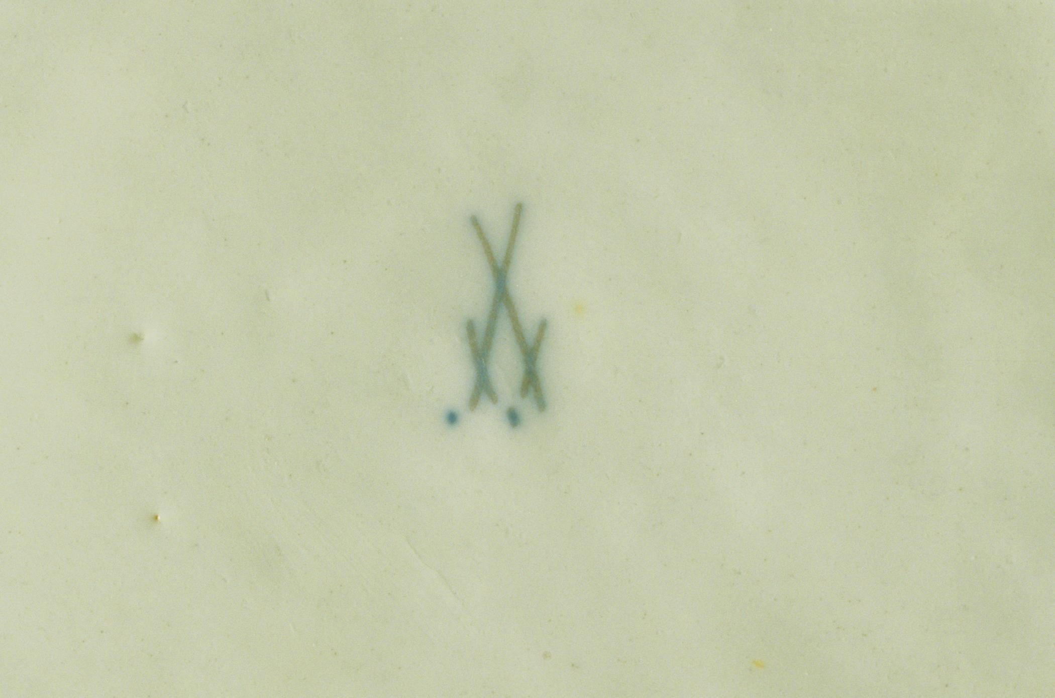 1996.0004.081.002 Soup plate (detail)