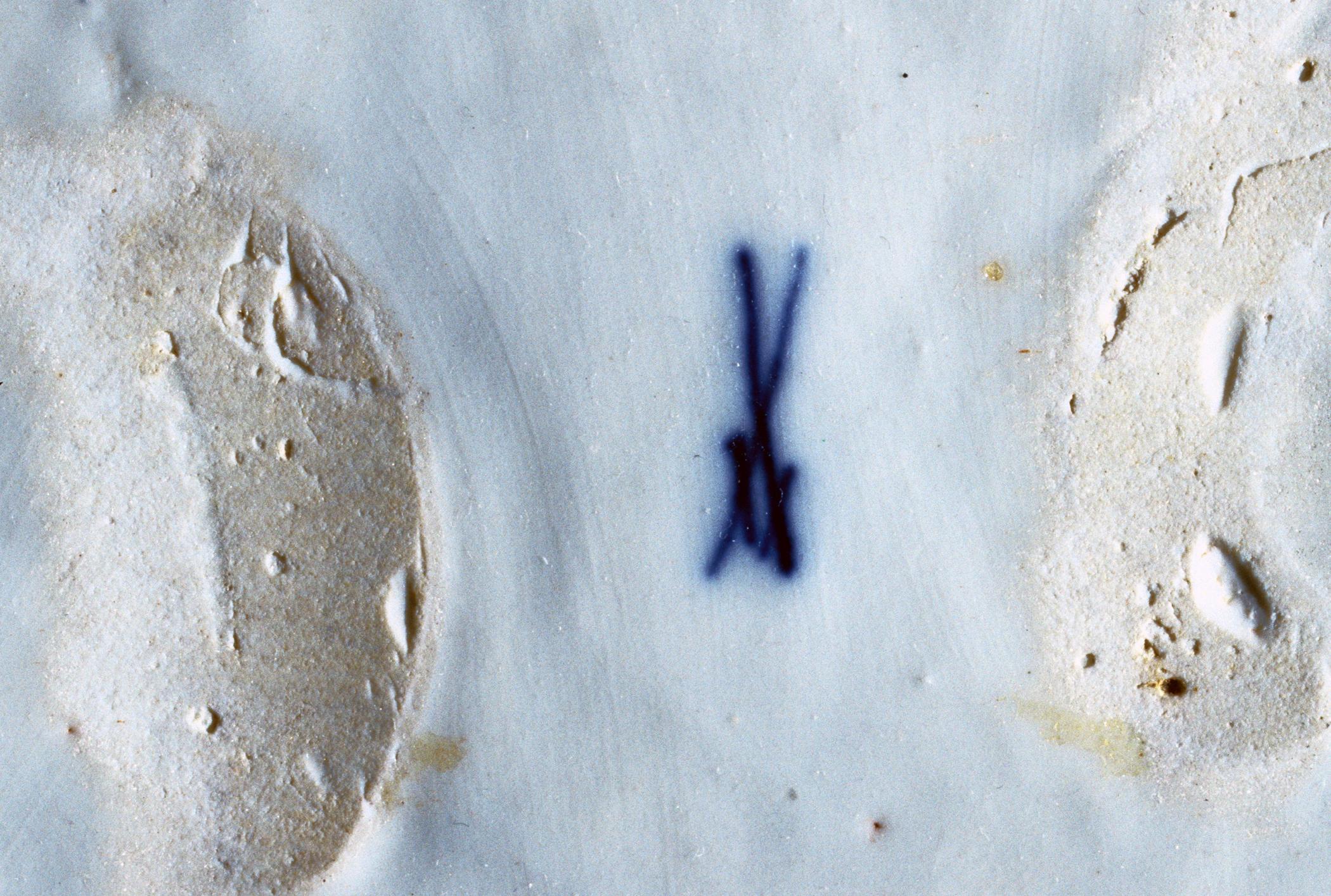 1996.0004.092 A- C Tureen (detail 2)