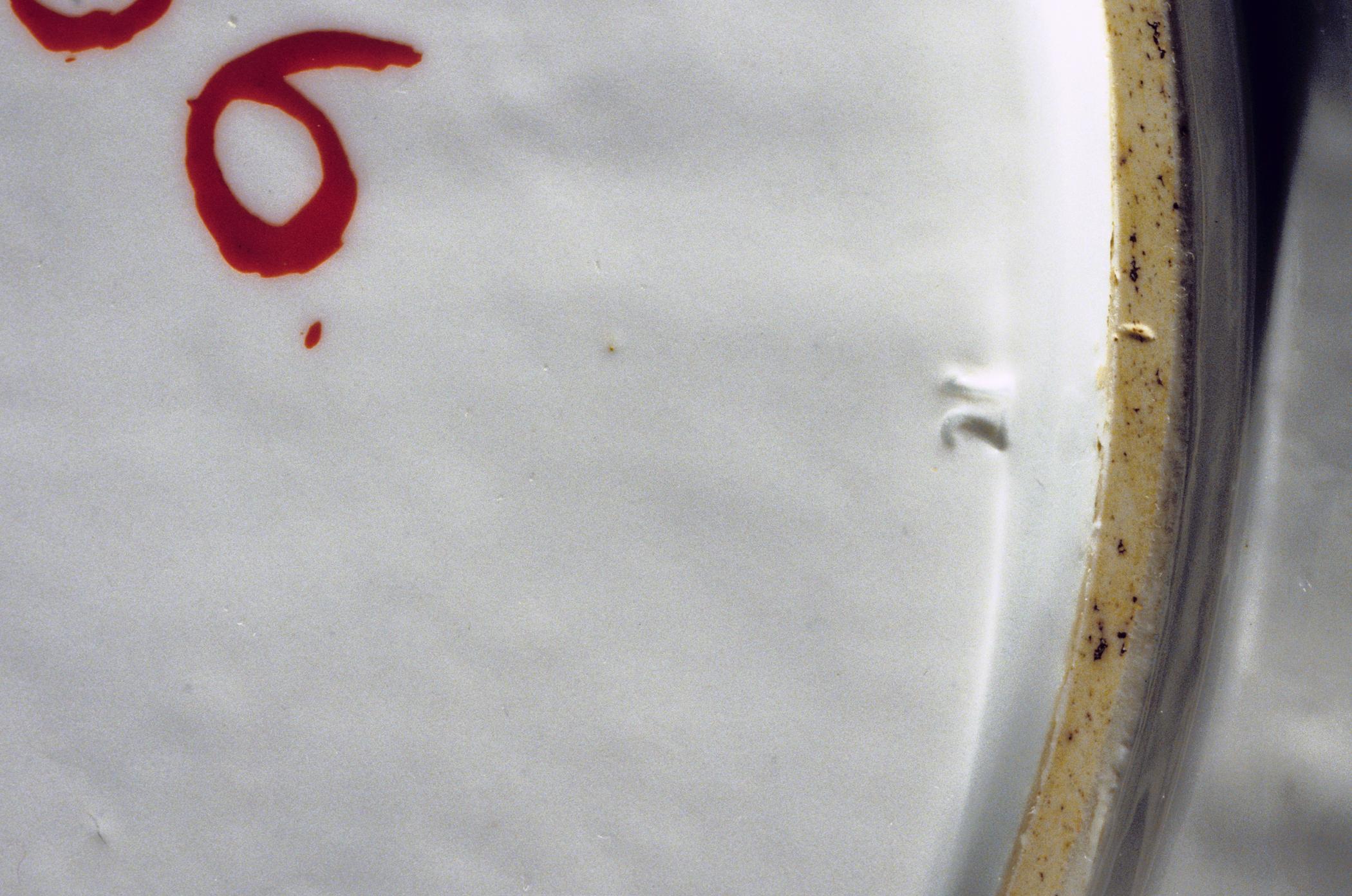1996.0004.106 A-C Tureen (detail 4)