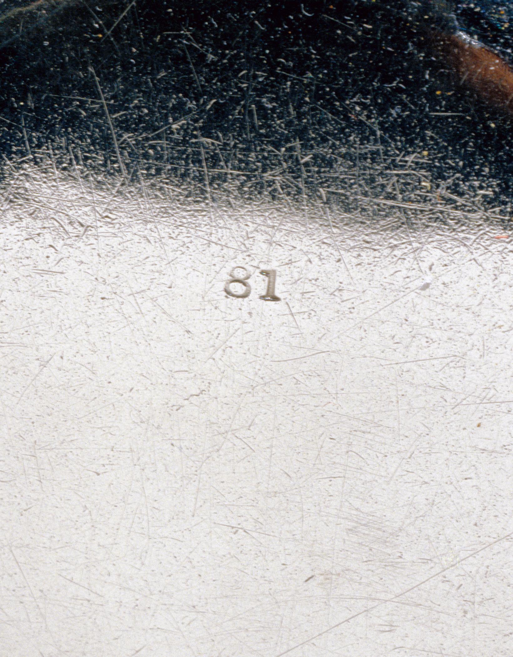 1996.0004.192 A-C Tureen (detail 1)