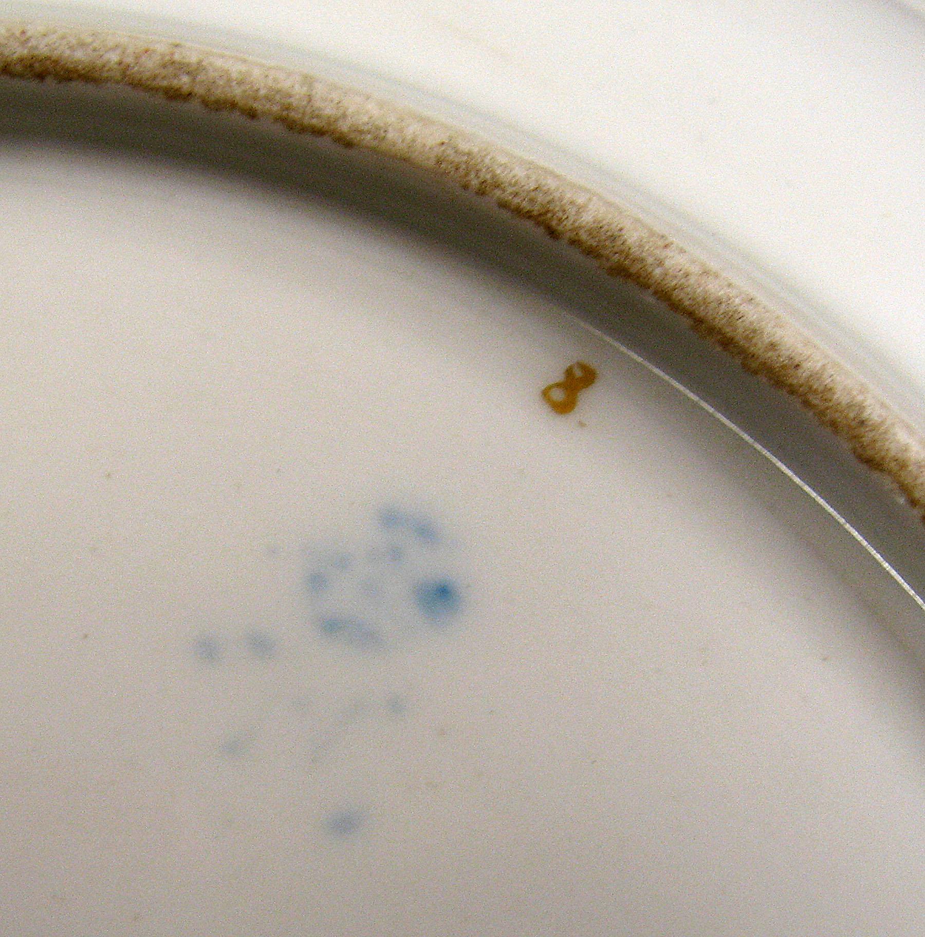 1996.0004.212.001 Soup plate (mark)