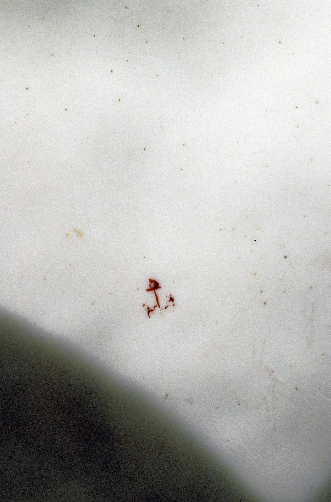 1996.0004.222 A, B Tureen (detail)