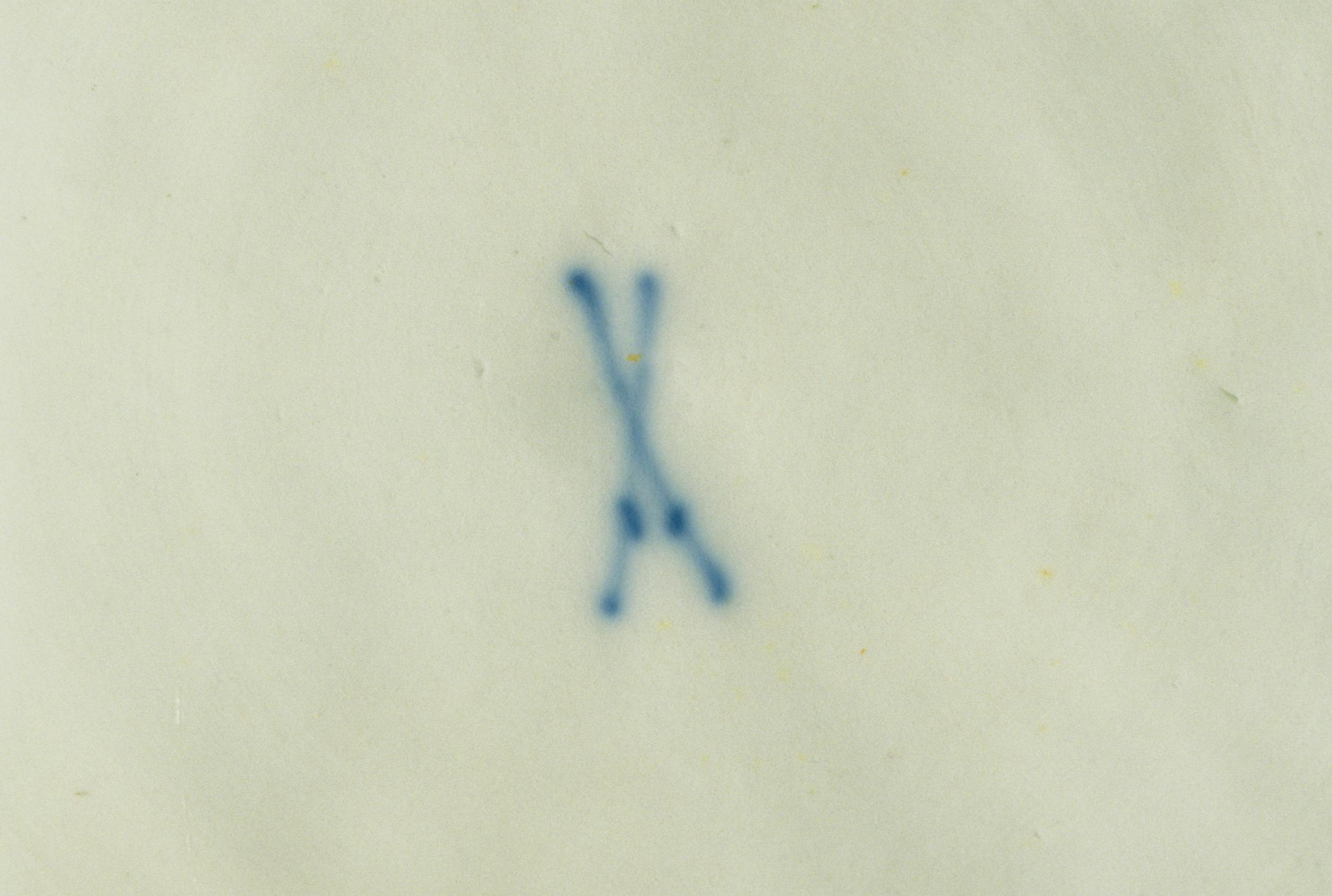 1996.0004.258 Soup plate (detail)