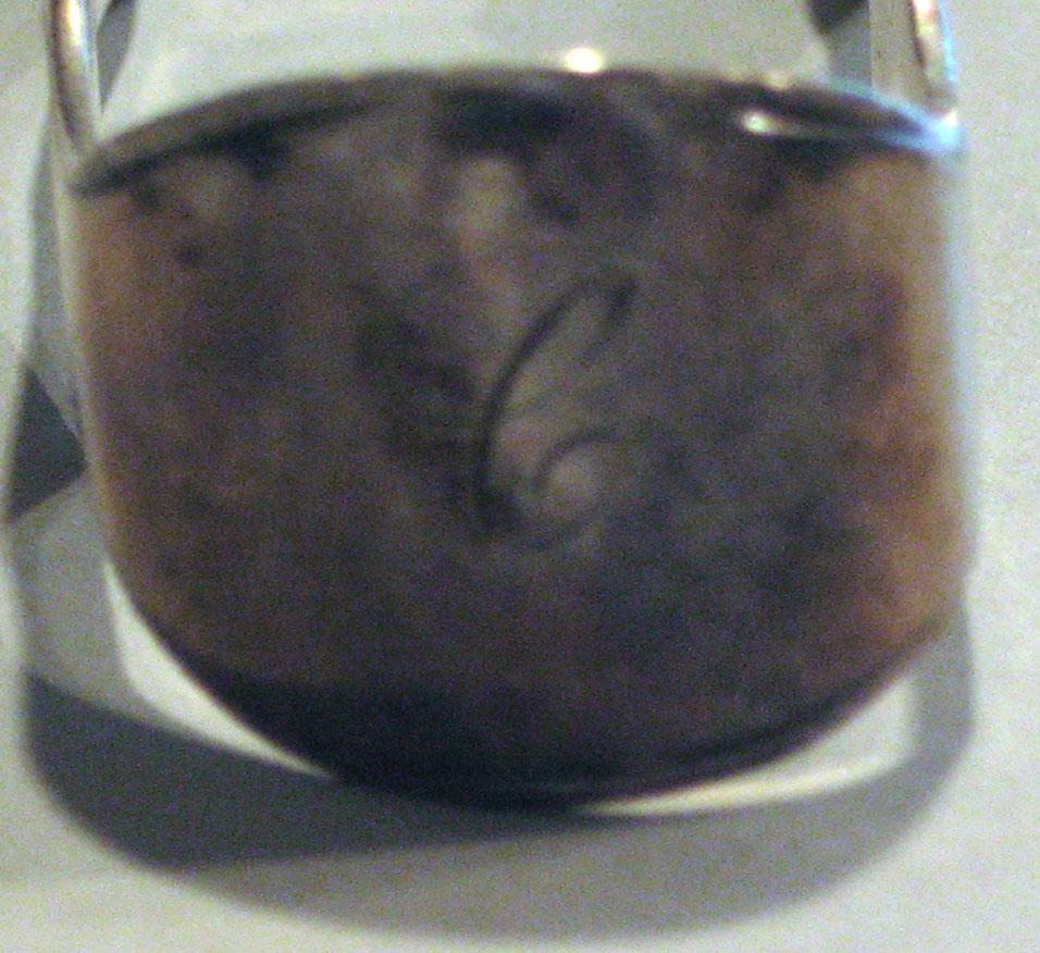 1998.0004.1066 tong engraving