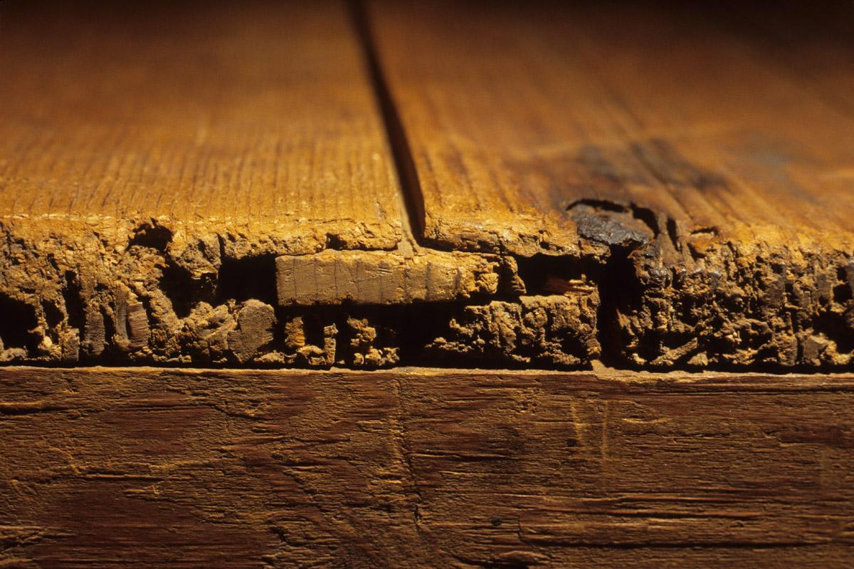 1958.0543 Chest, detail 1