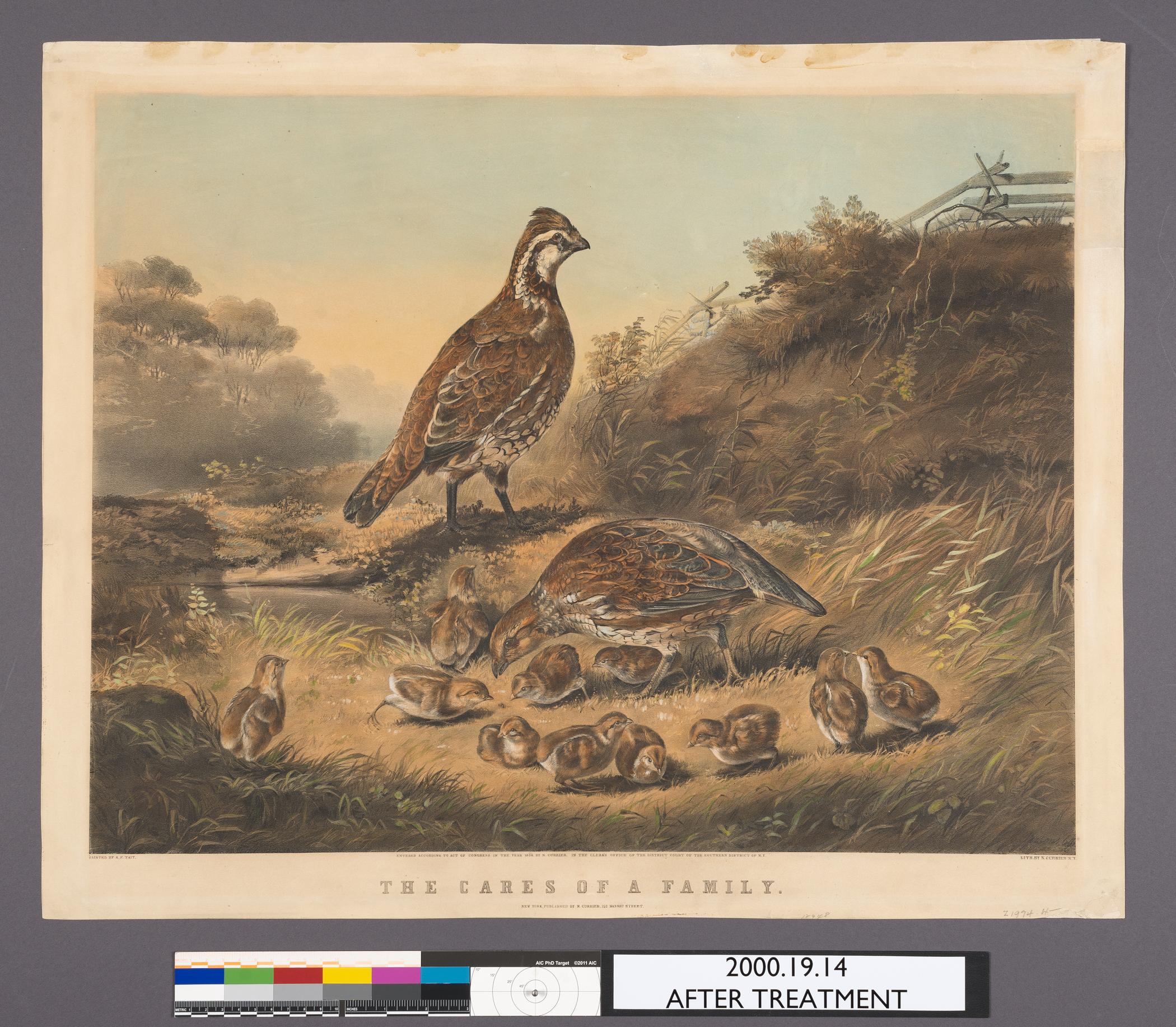 2000.0019.014 A Print, view 1, after conservation treatment