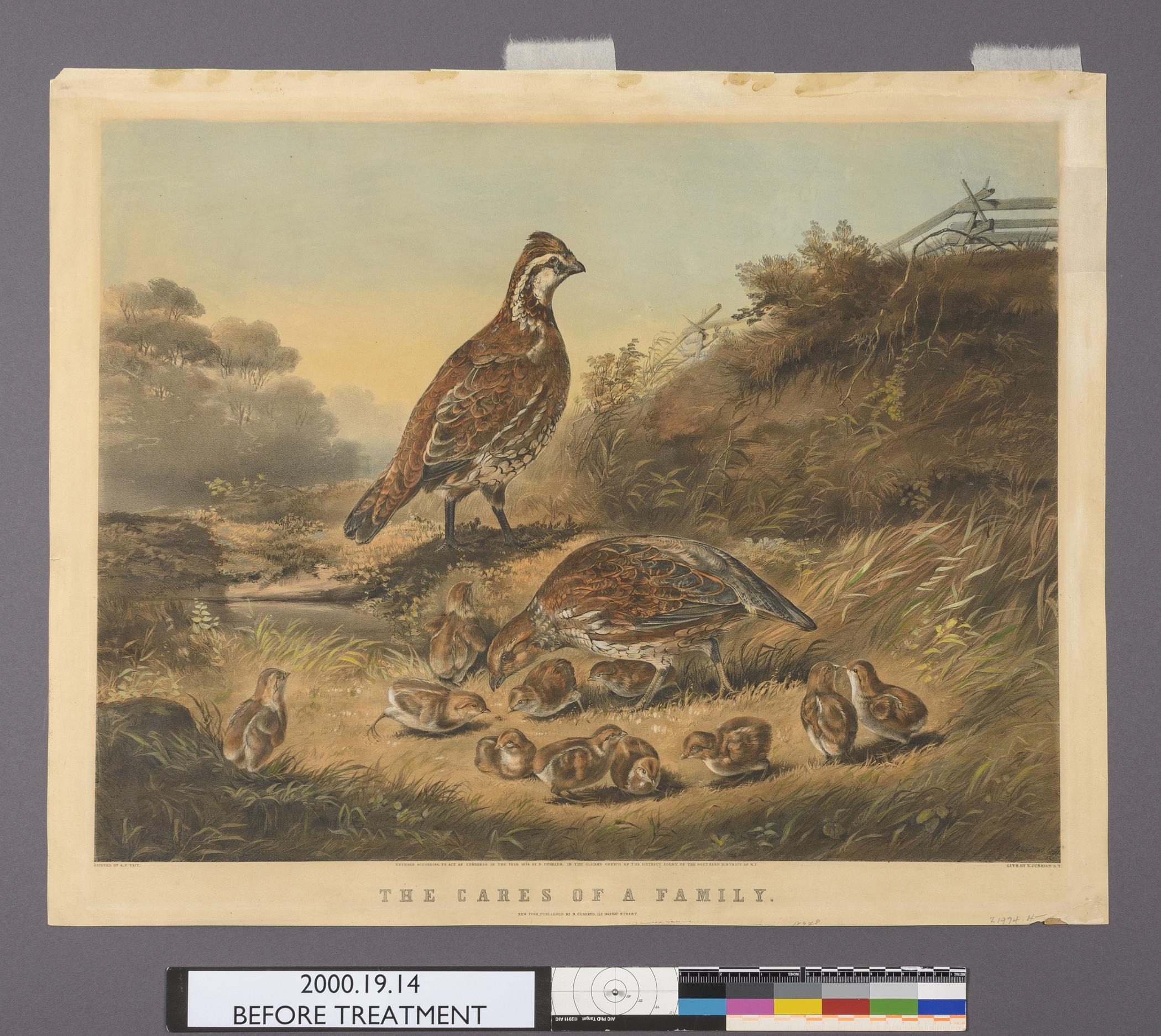2000.0019.014 A Print, view 1, before conservation treatment