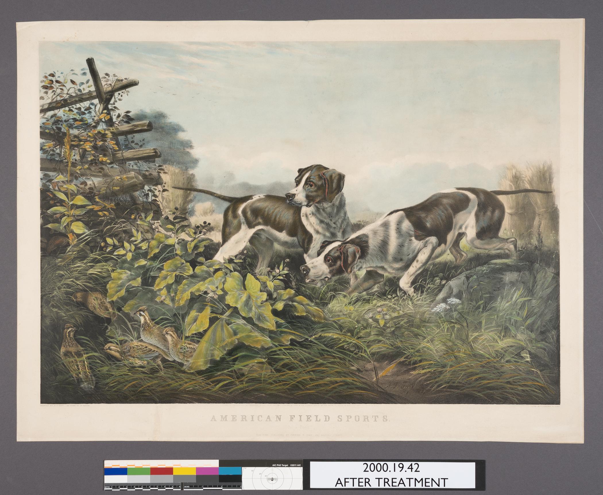 2000.0019.042 A Print, view 1, after conservation treatment