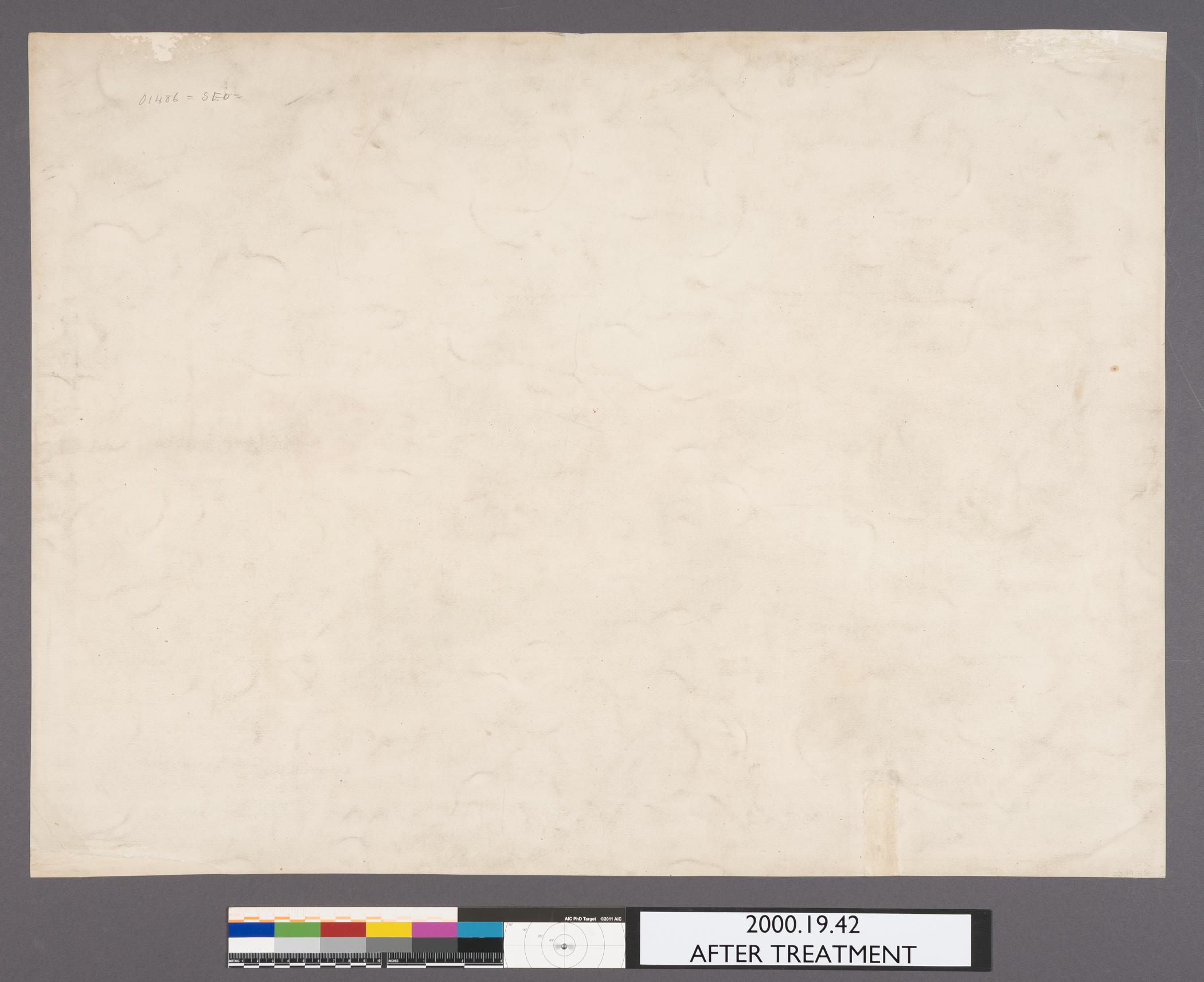 2000.0019.042 A Print, view 2, reverse, after conservation treatment