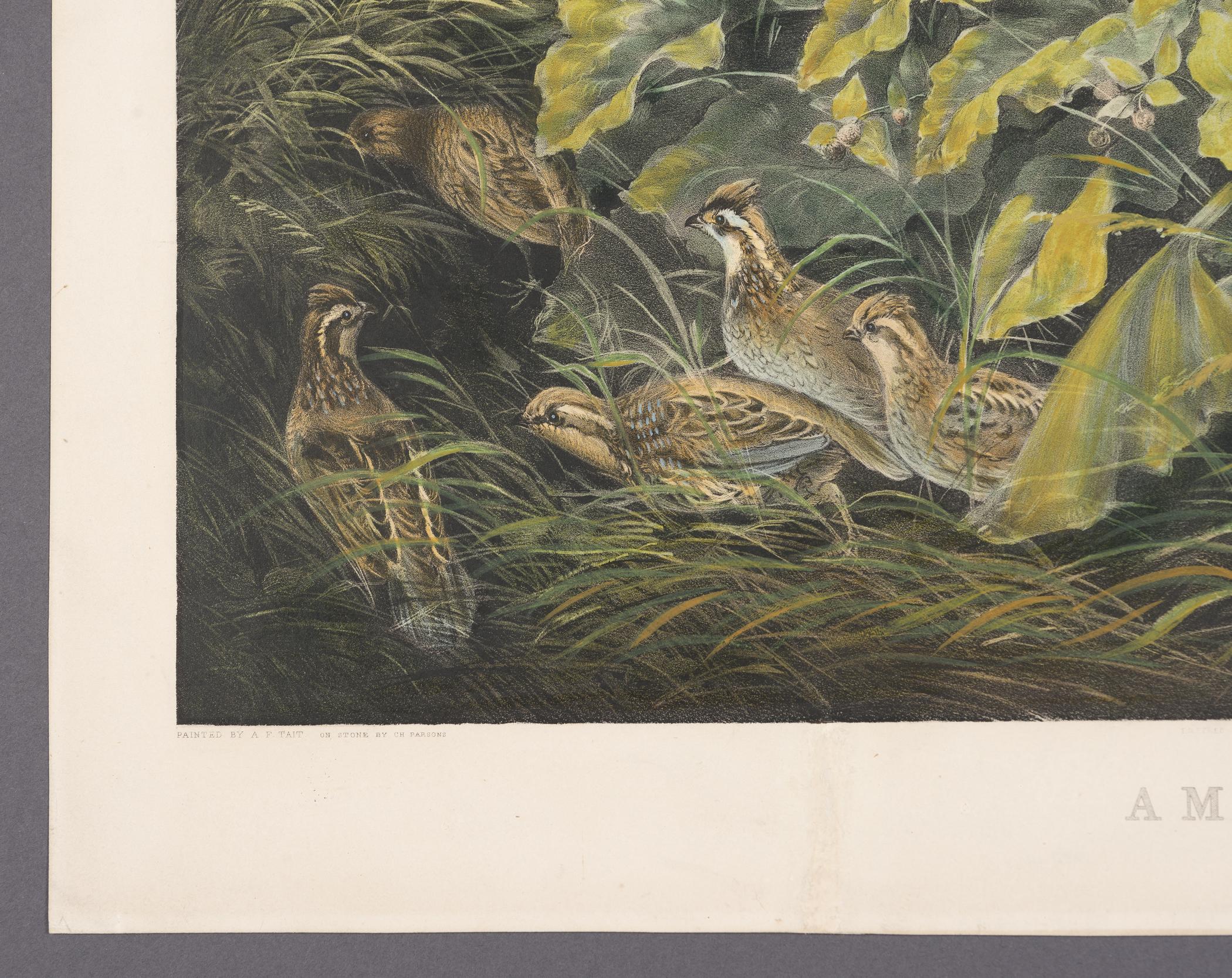 2000.0019.042 A Print, detail 1, after conservation treatment