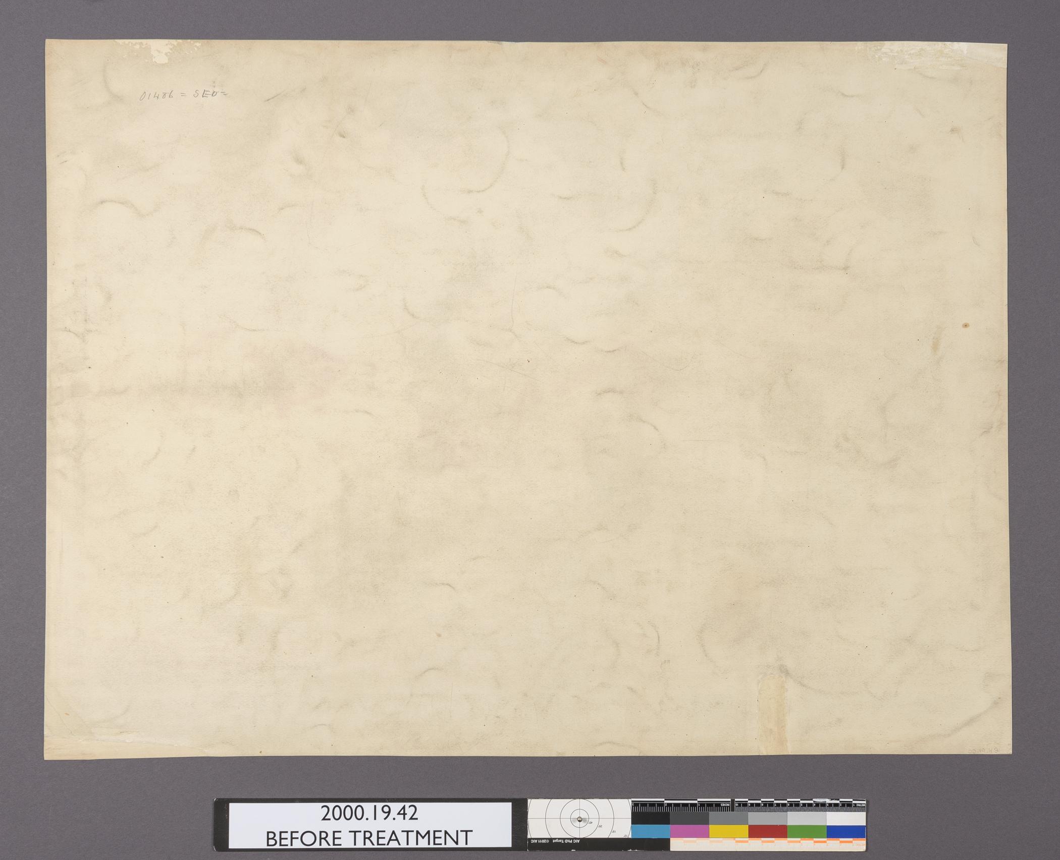 2000.0019.042 A Print, view 2, reverse, before consevation treatment