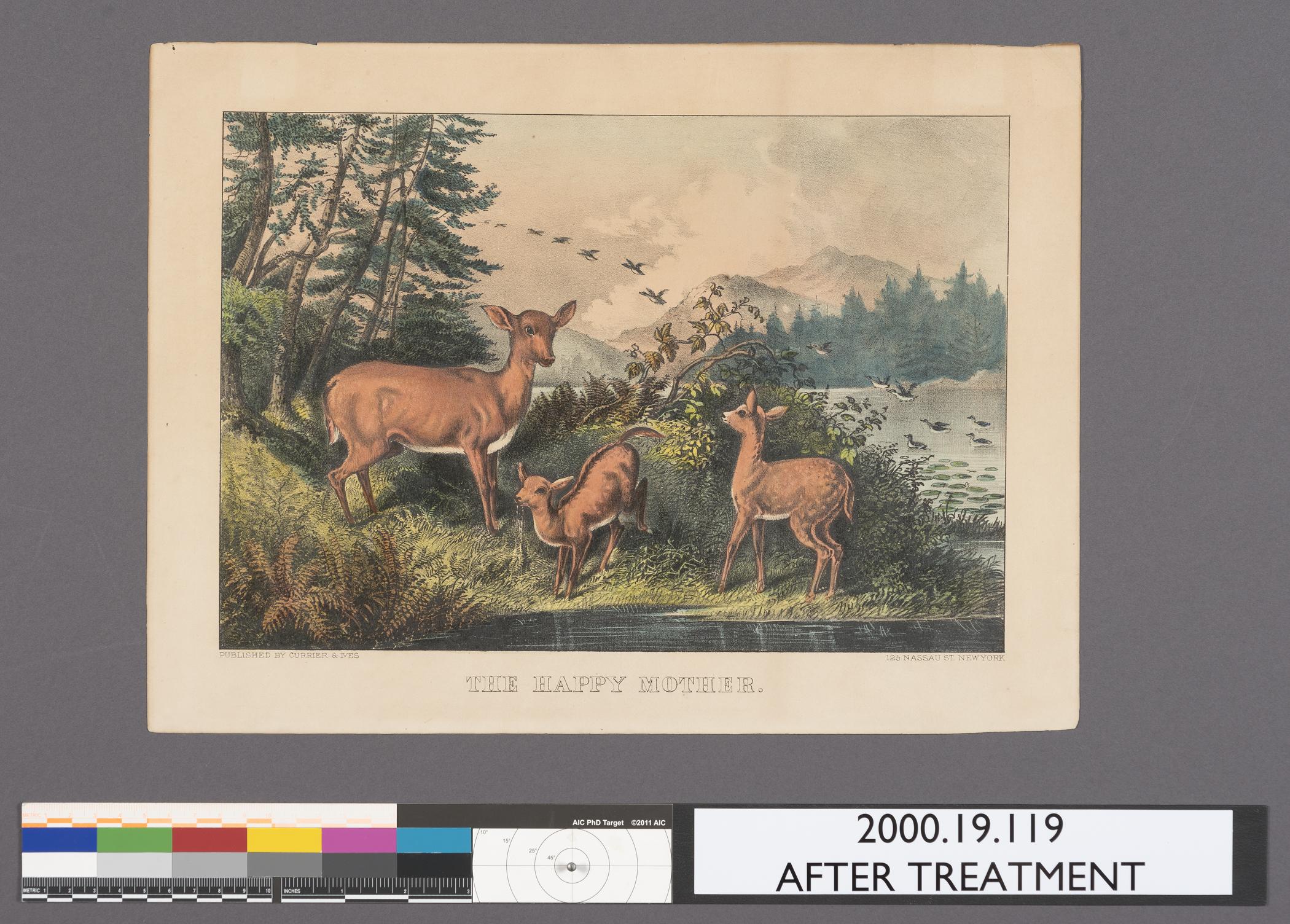 2000.0019.119 A Print, view 1, after conservation treatment
