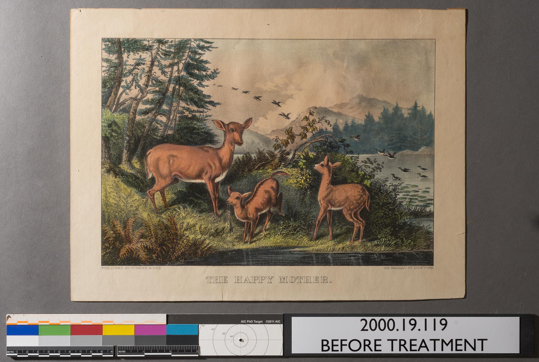 2000.0019.119 A Print, view 3, raking light, before conservation treatment