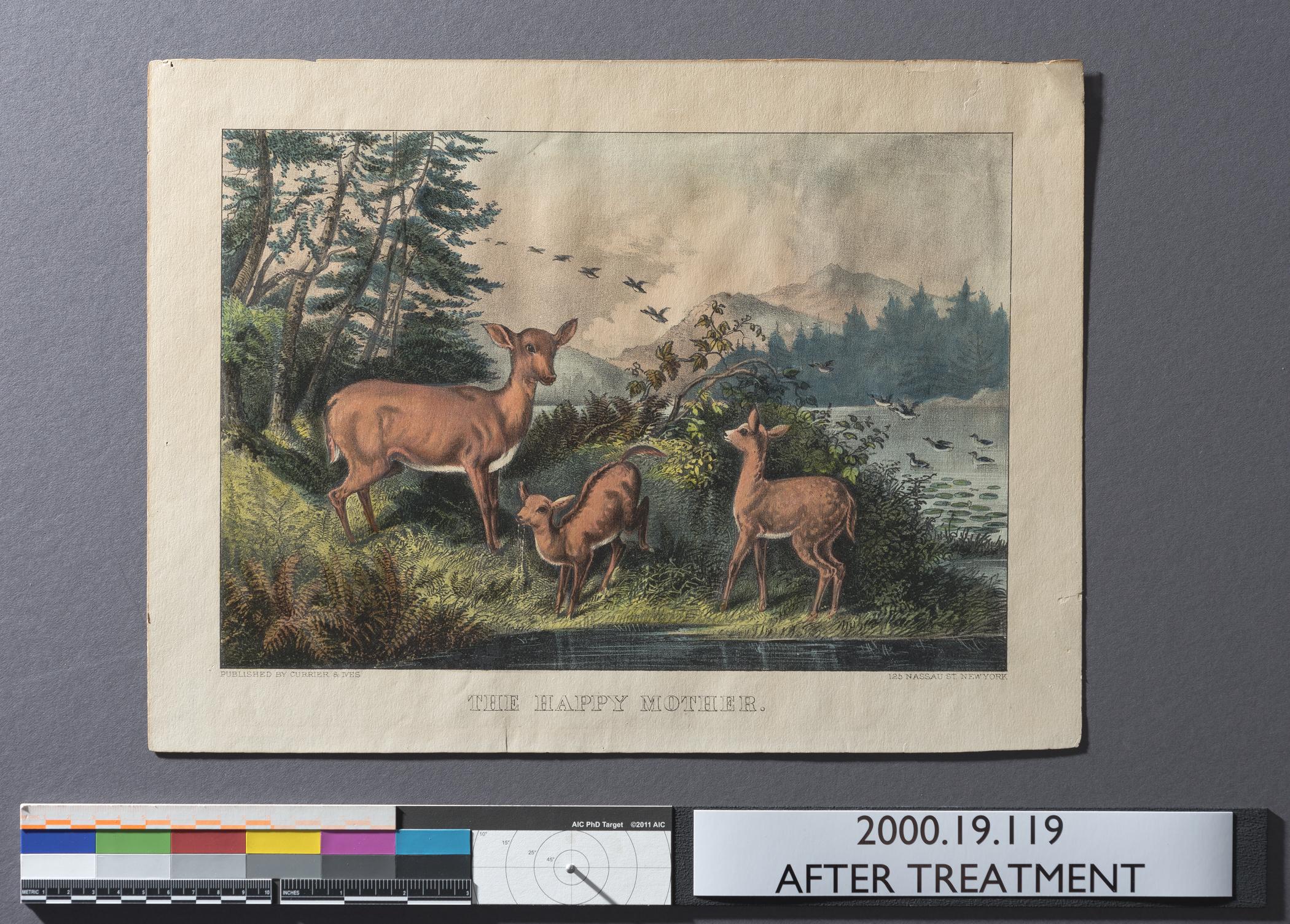2000.0019.119 A Print, view 3, raking light, after conservation treatment
