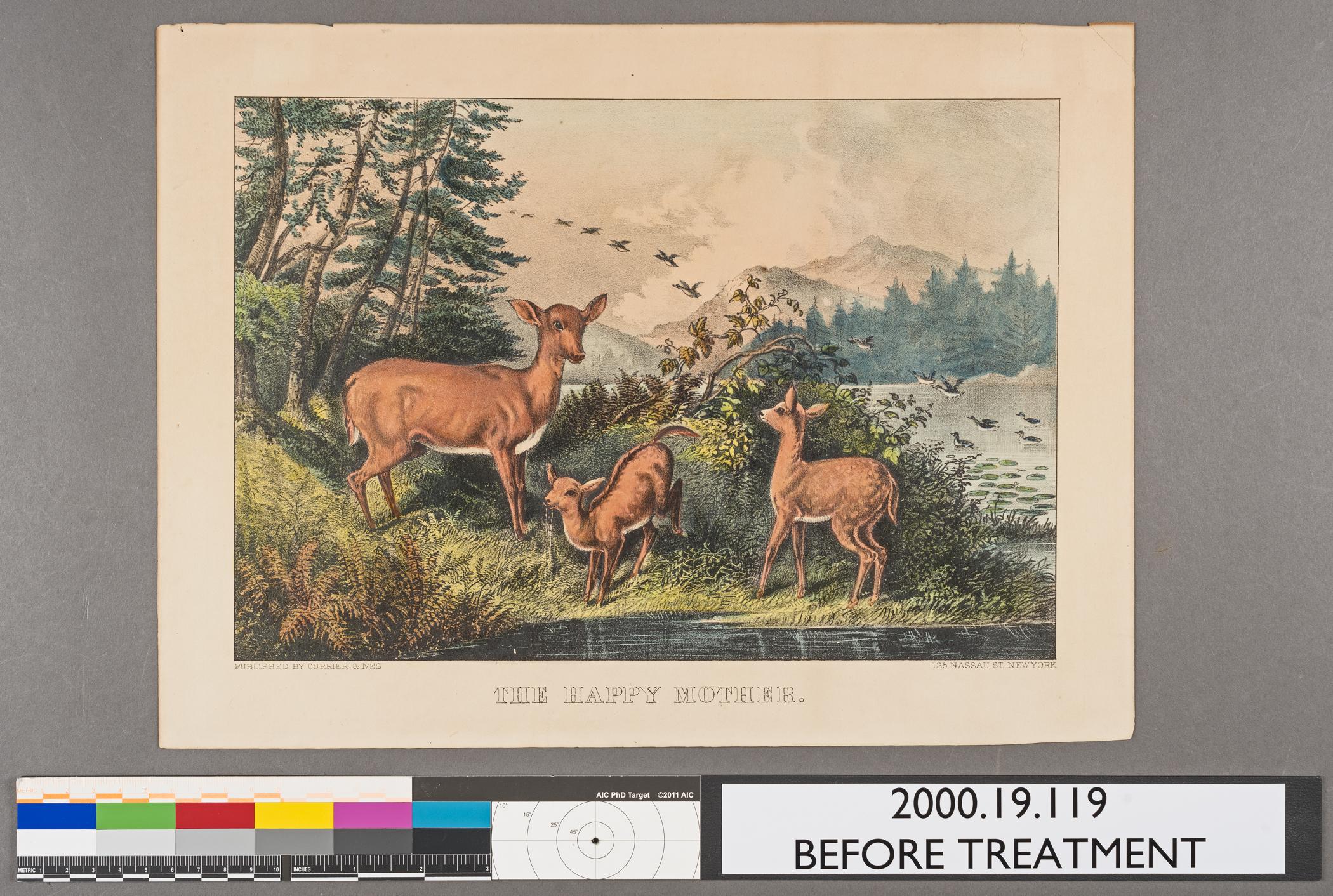 2000.0019.119 A Print, view 1, before conservation treatment