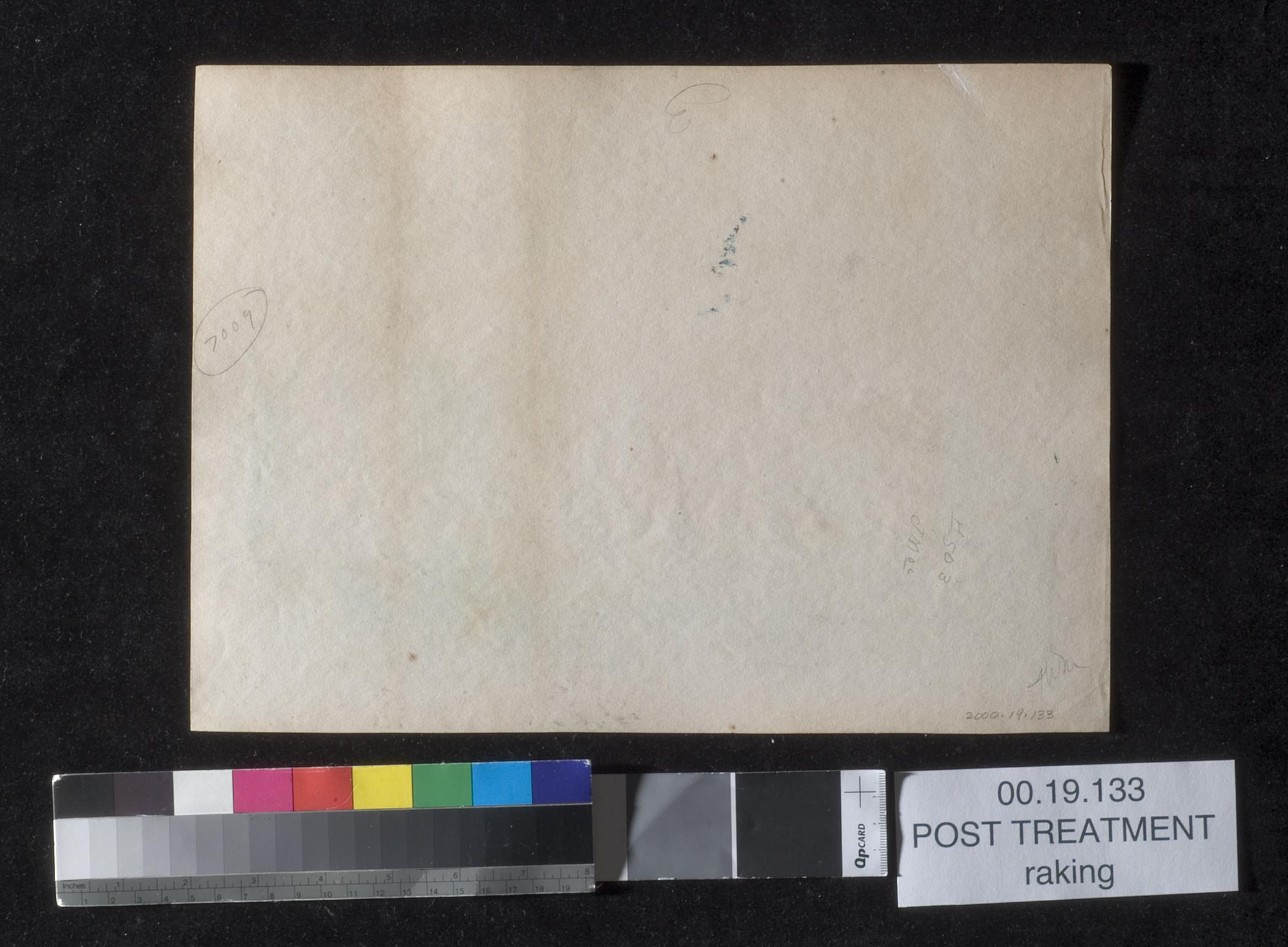 2003.0019.133 Print, view 5, reverse, after conservation treatment, raking light