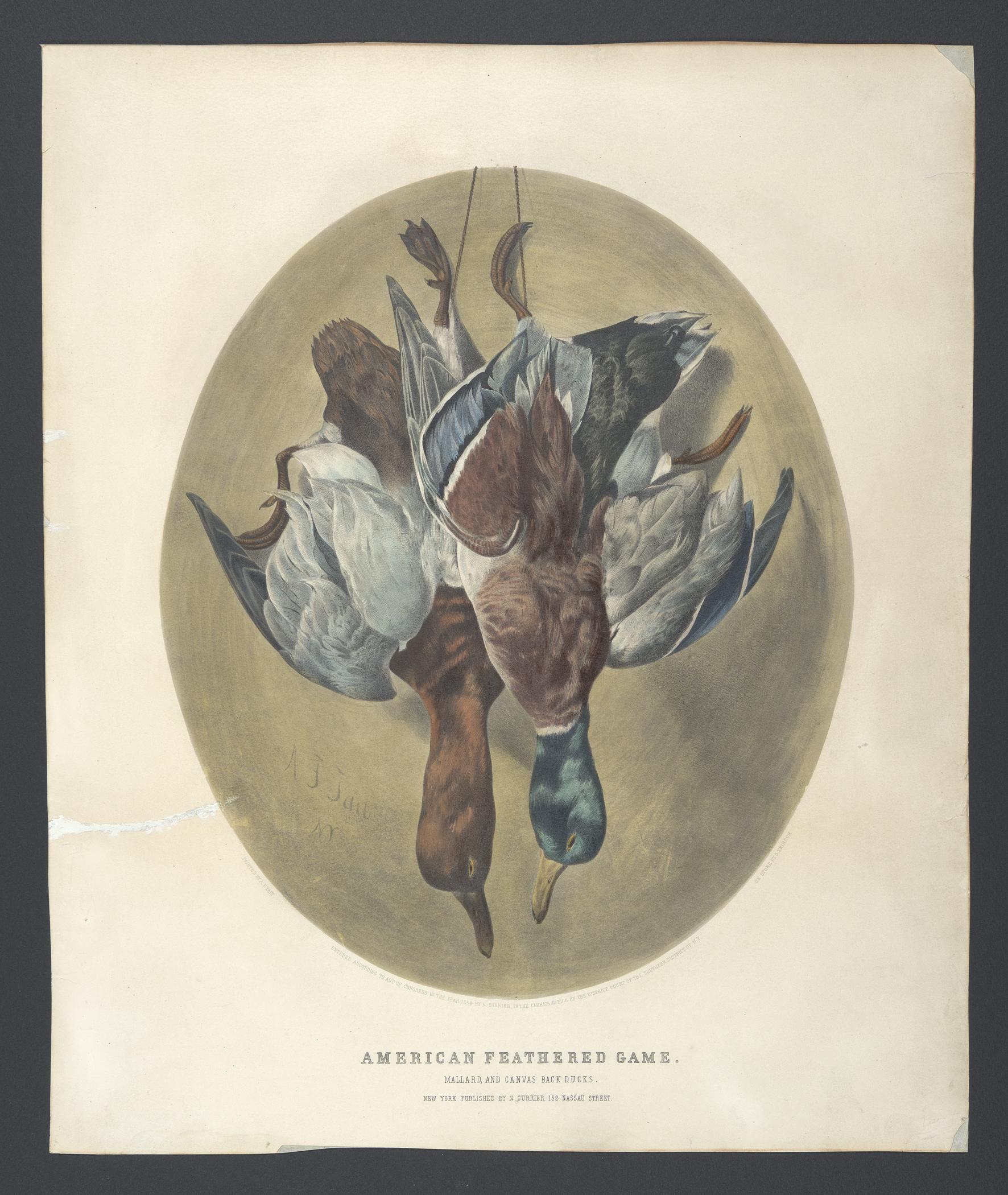 2000.0019.166 A Print, view 1
