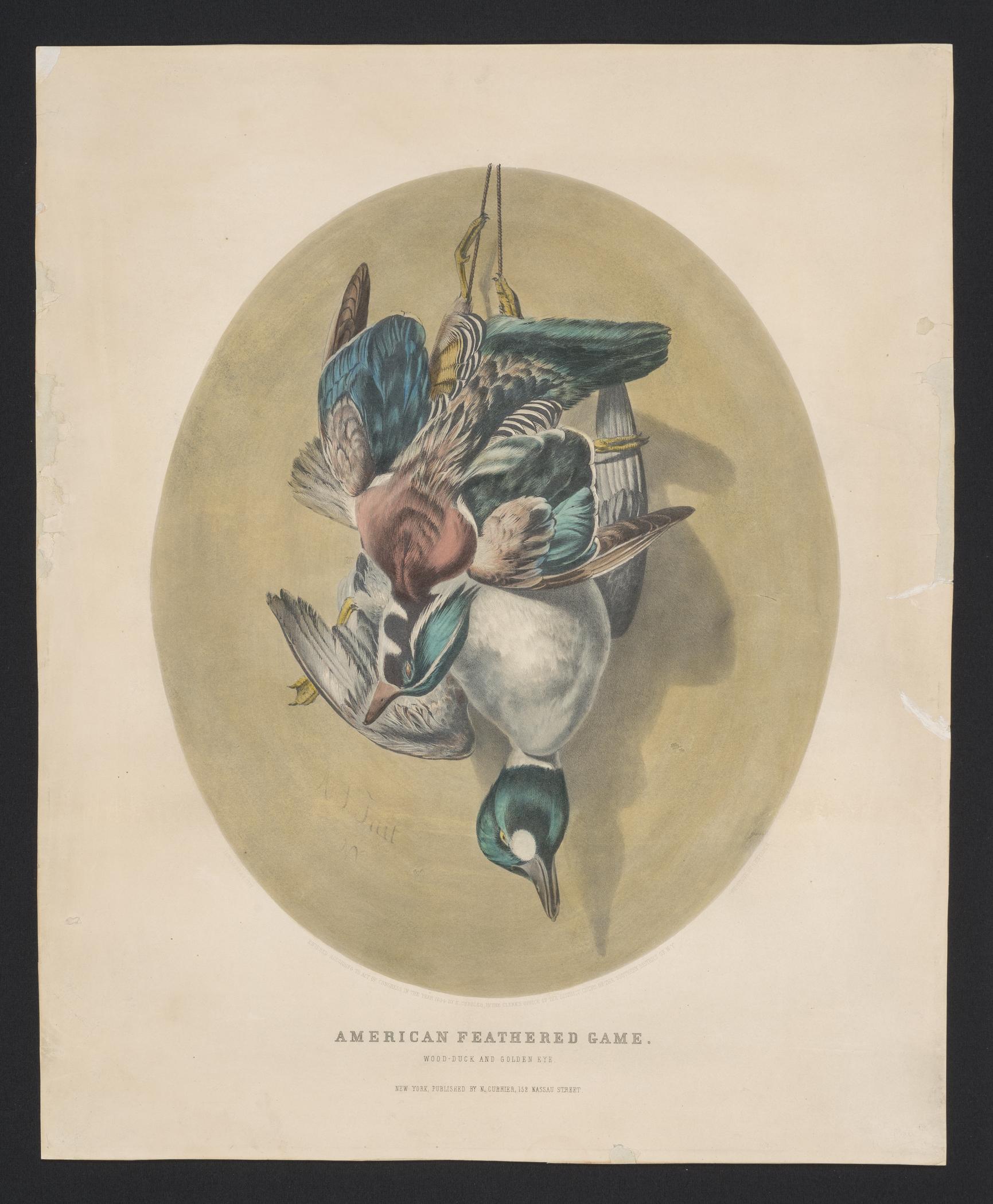 2000.0019.167 A Print, view 1